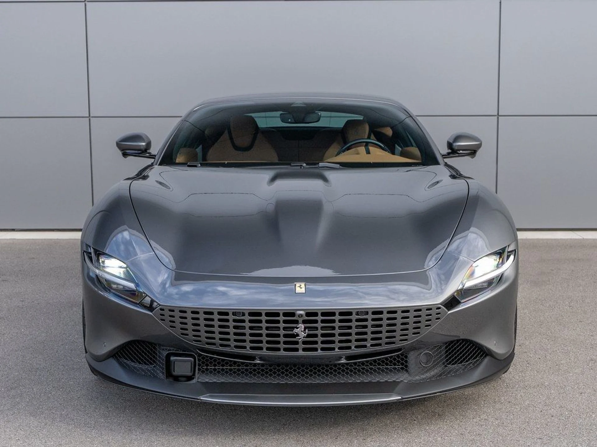 mph001_3826619248_image_2_0b76d47f10