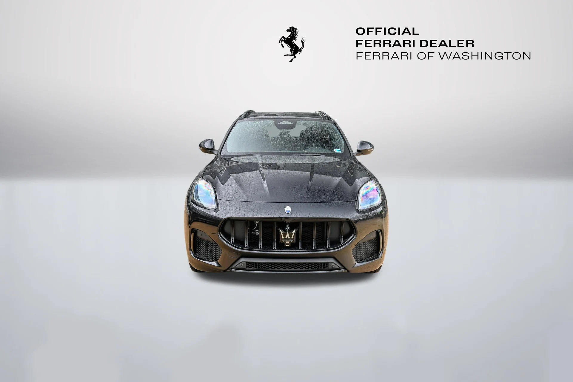 mph001_3969588257_7503c4f2c8a348f5bc73d3be098016d2_7d53dad8aa