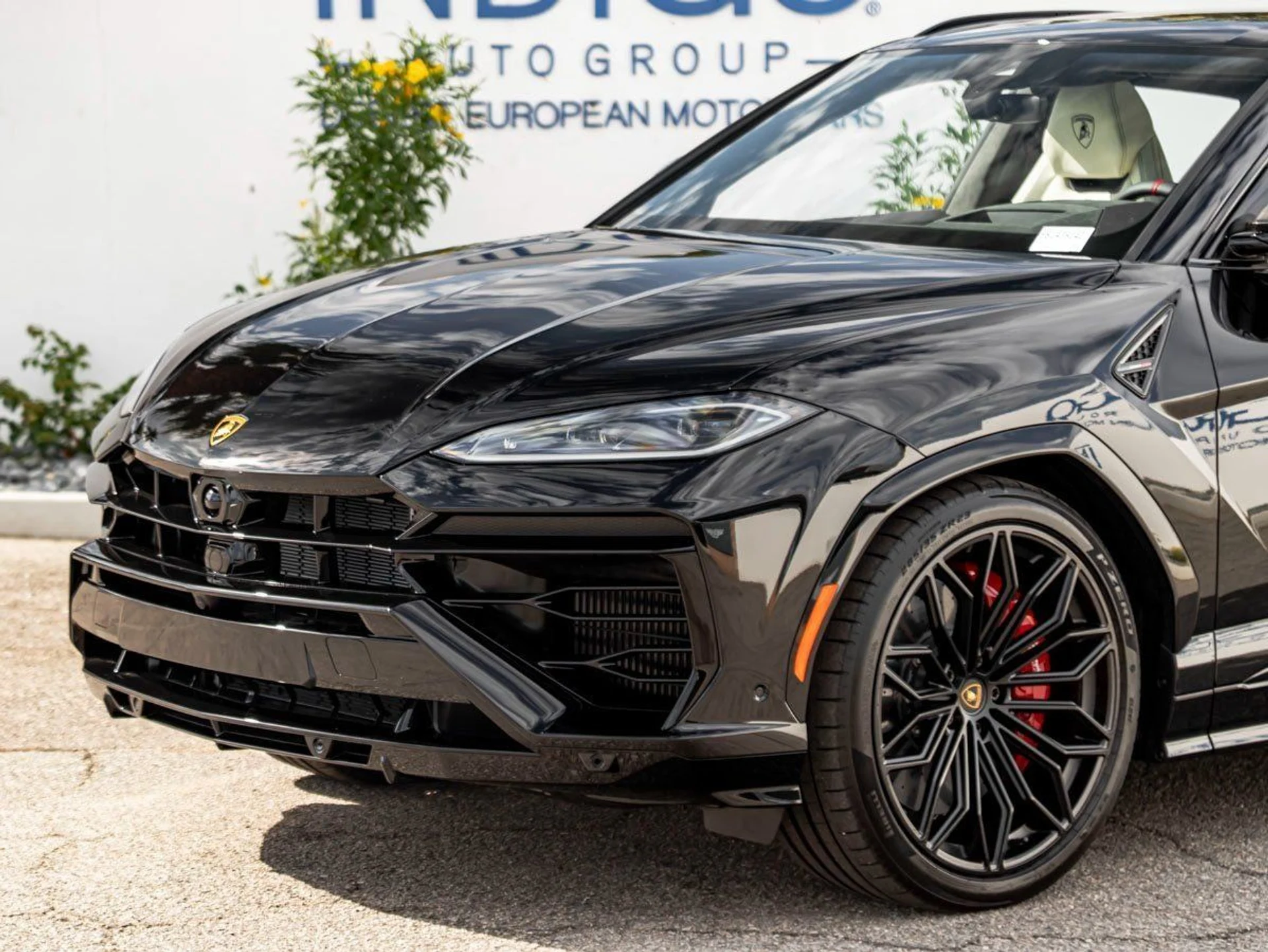 mph001_4117698248_2_cb32c06630