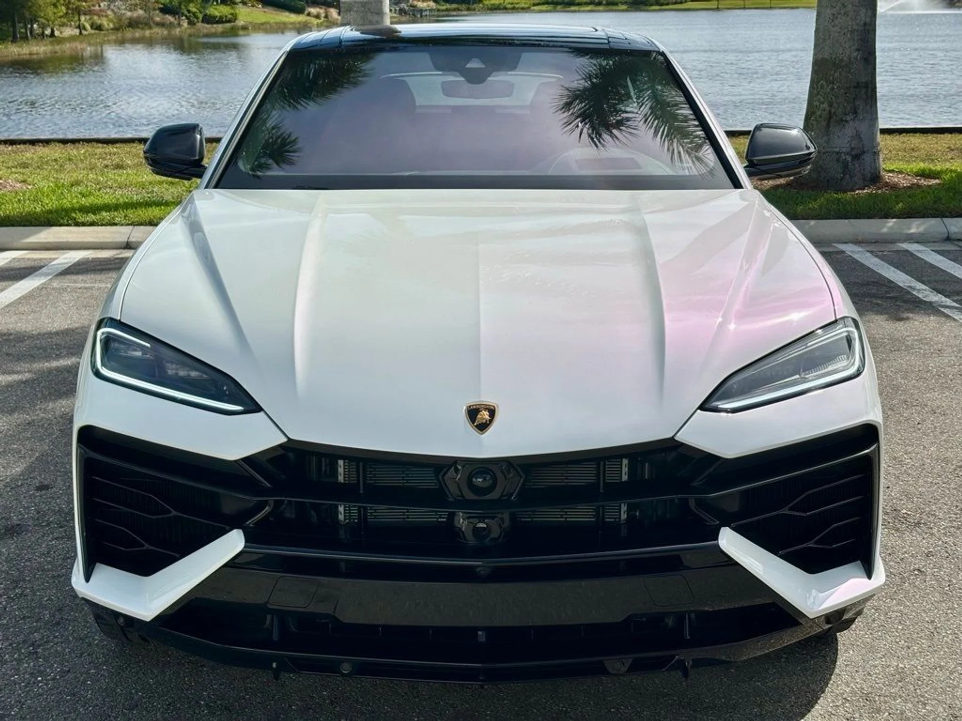 mph001_4270235847_3c0aa6c559829e598d61cea70e0bb60c_10a8649a88