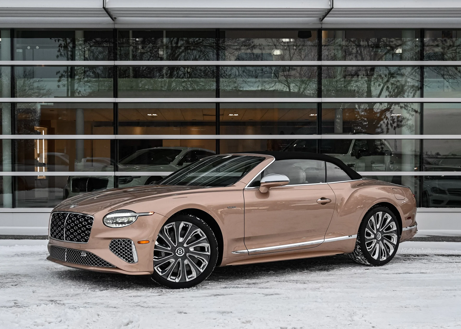 mph001_520548565_8b277578_c47b_479e_812b_503c7ef6faf6_934ee49f76