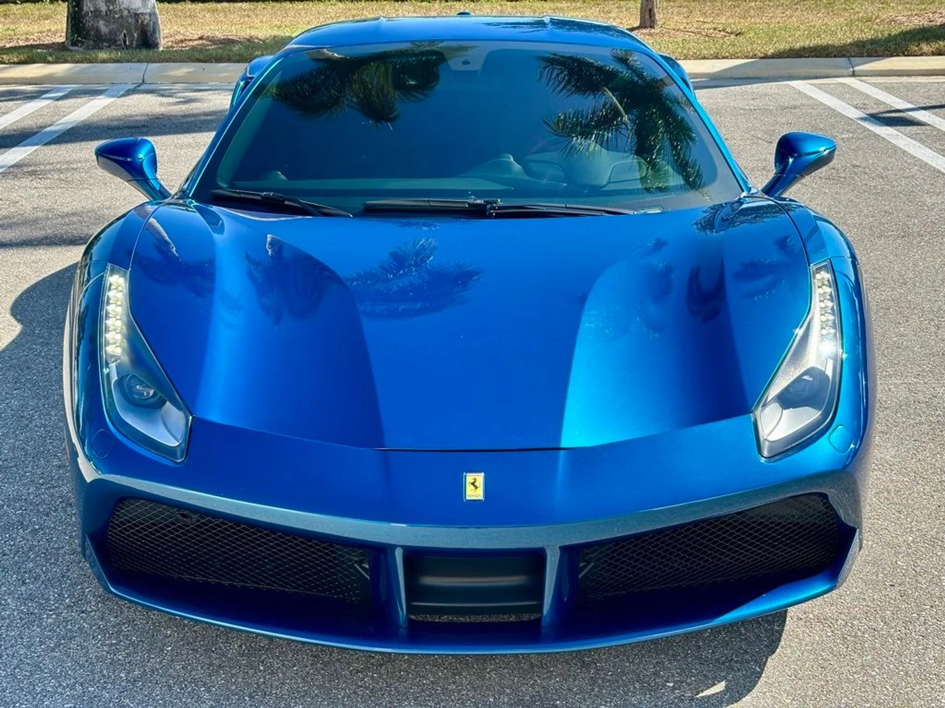 mph001_576653192_77557f4b79ae16566b93b3fbef82d344_66dfe96590