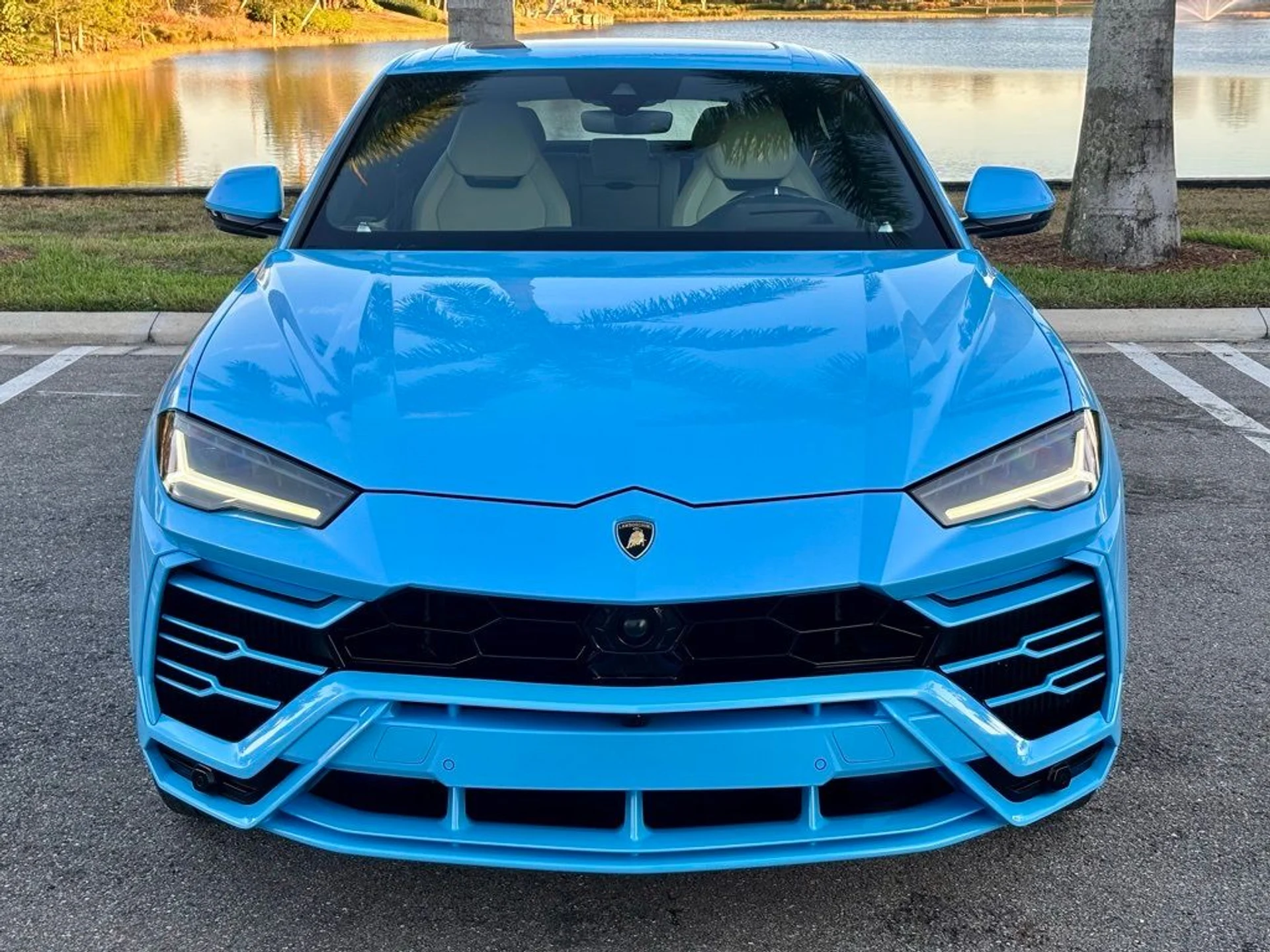 mph001_709953947_78a1ccf23ecfcb2ec6d6b1d7a1aede7a_8c62ec5ee9