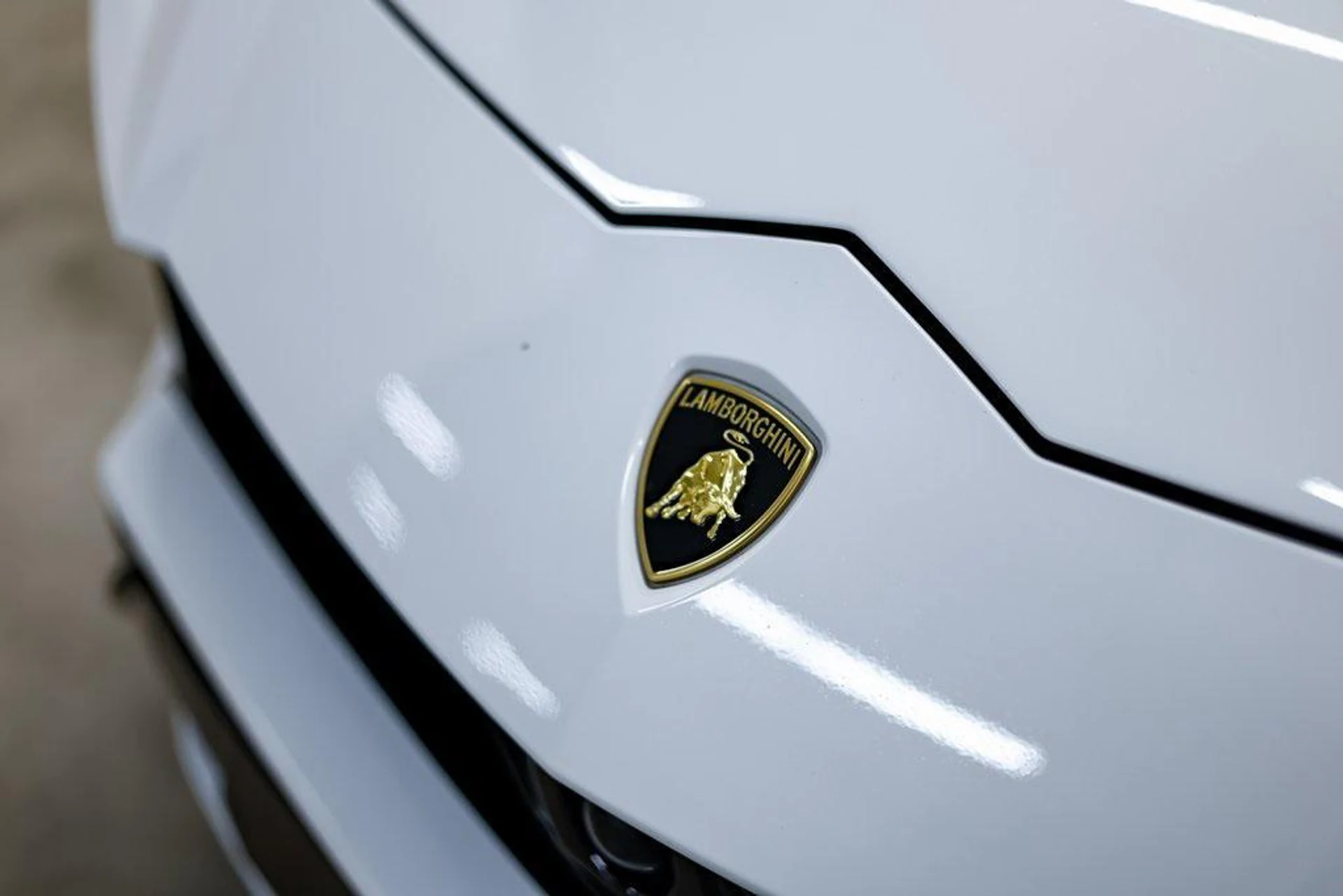 mph002_1080495639_Y0_Voy_Jl_Dx_Cw_N_Qo9j_G0fght_rngk_daf7be7393