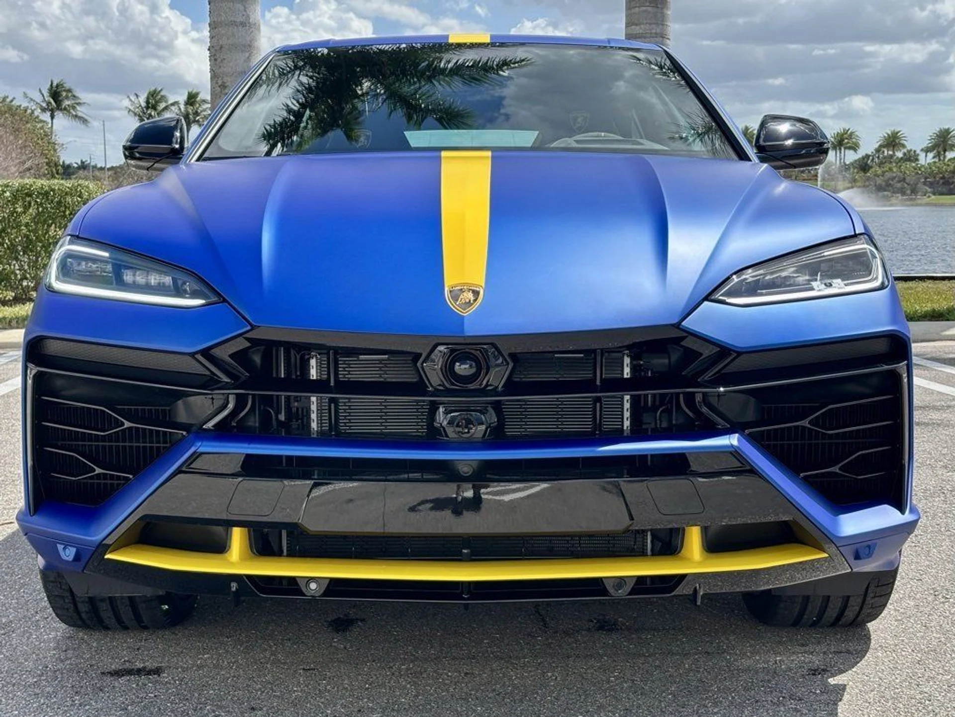 mph002_1265456269_66cdc5710bf091987cd4d8162932c679_a361b07aa7