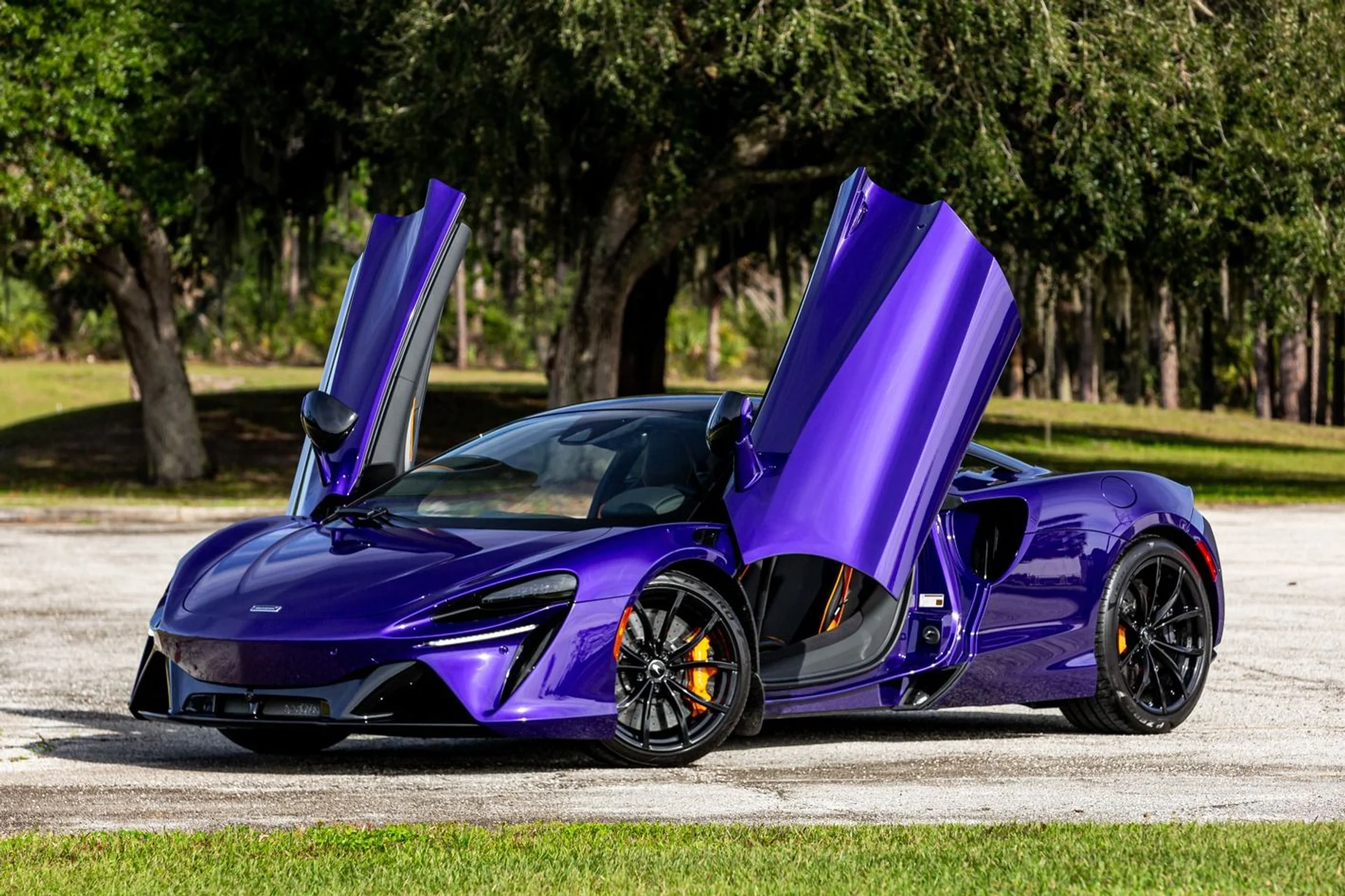 mph002_1425553249_362_p3_l_2537a655e2