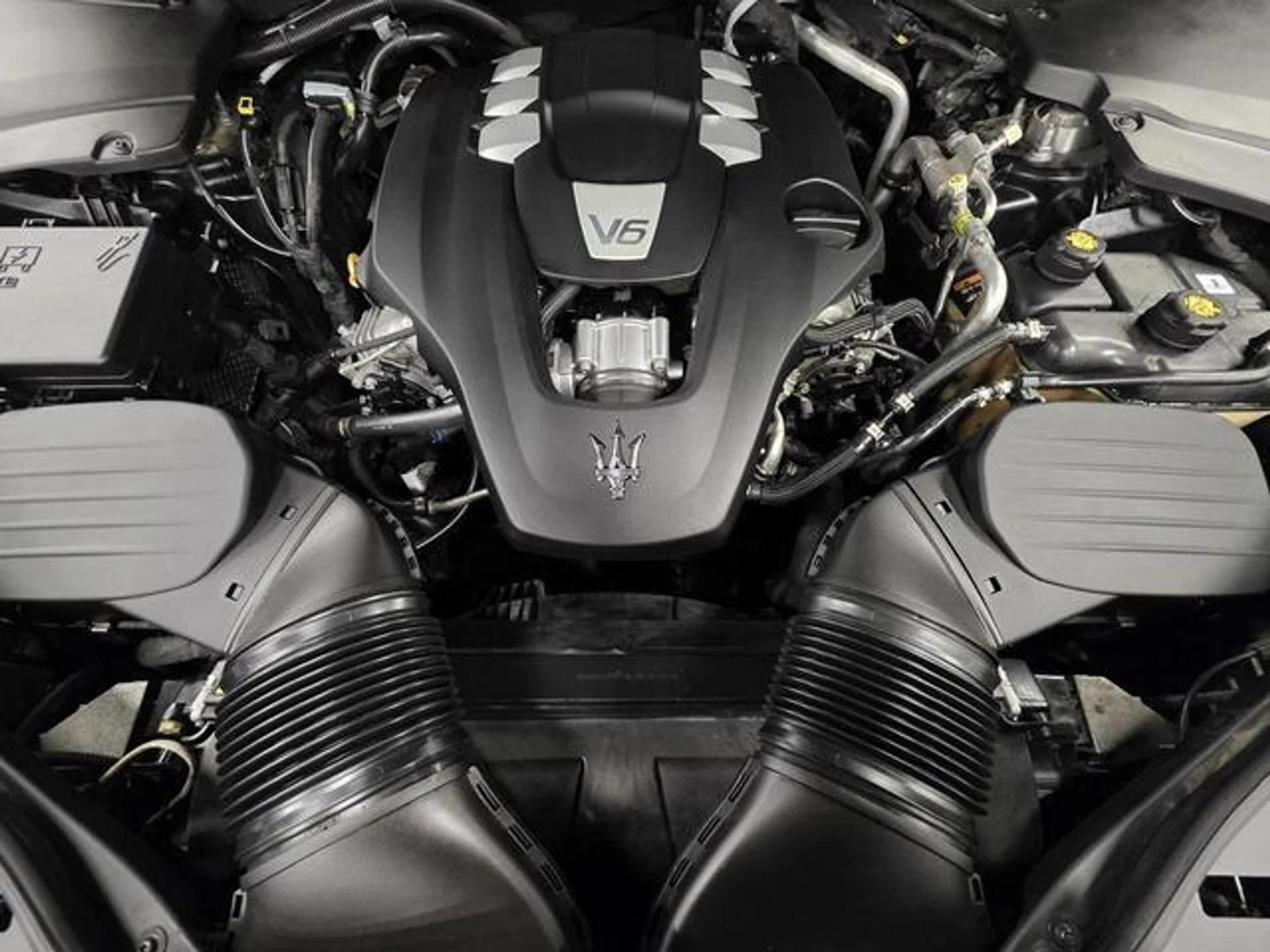 mph002_1584134590_M_Ppm_E9_Byff_Pu06_pc1_Di_Y_Fu_T_Lq_Q_26fe9f1458