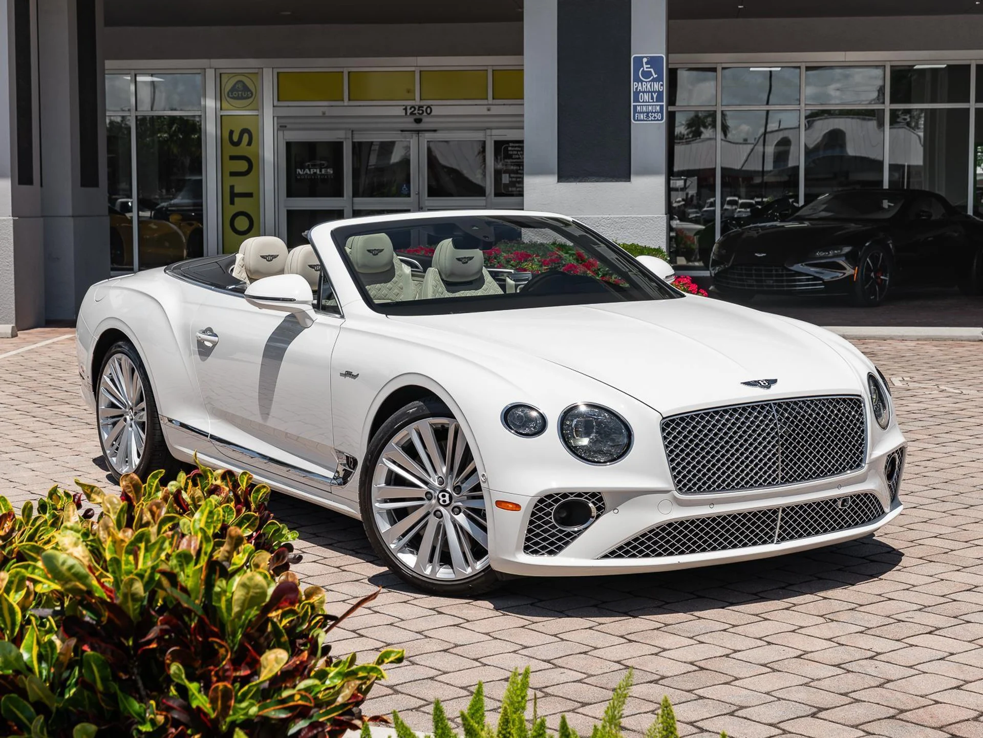 mph002_1694680149_Used_2022_Bentley_Continental_GT_Speed_1780952638_67f2f33cd9