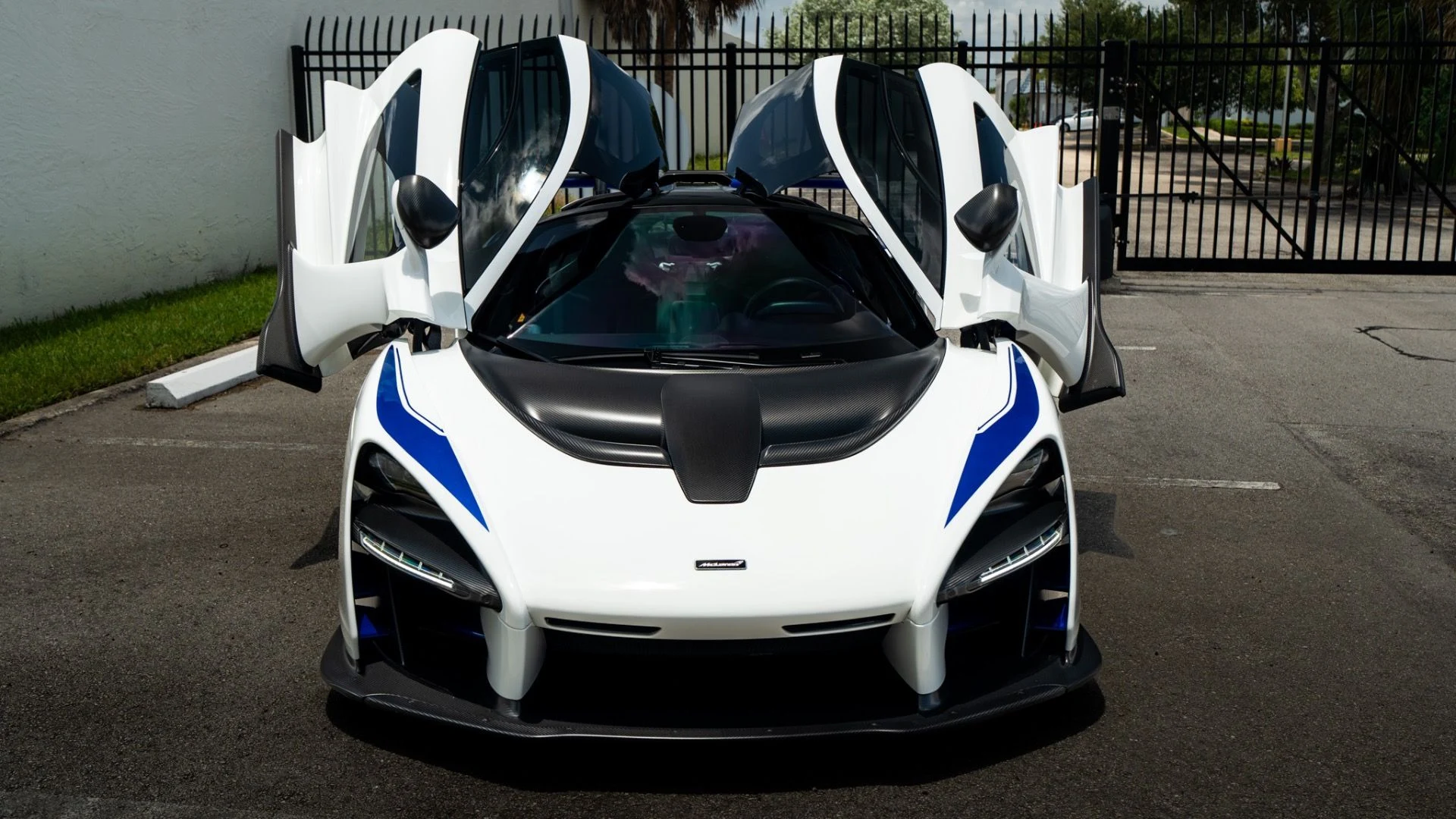 mph002_1738727911_13871_p3_l_978e5ac8e3