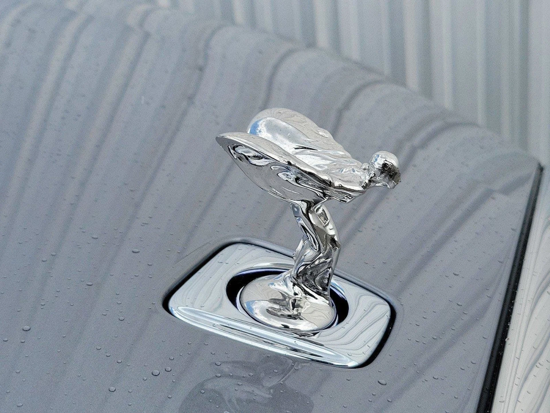 mph002_1771134227_821a8b740b3410673a98fc0733500d62x_d64dbdabed