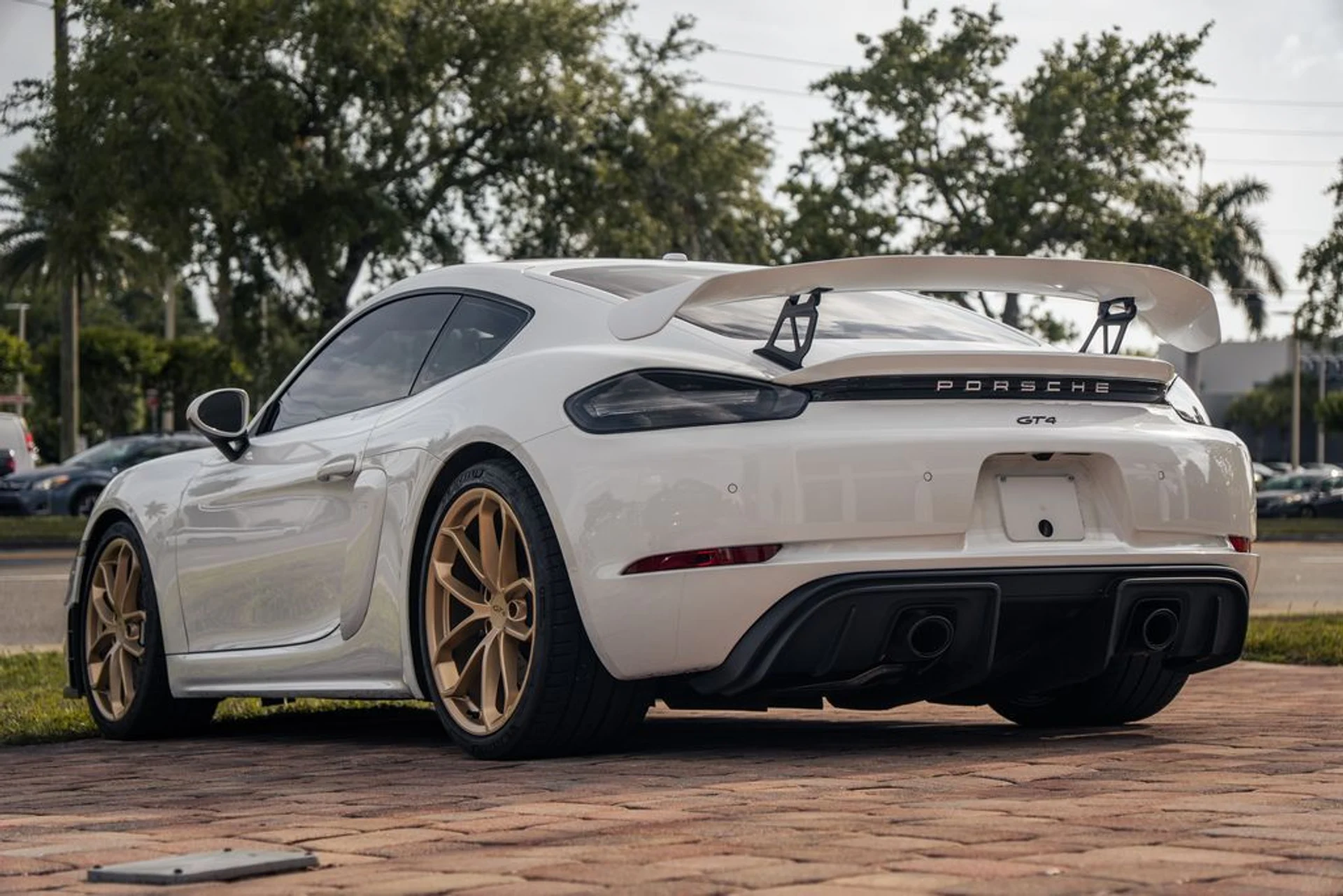 mph002_1799166916_6c6792972e7f3a45c81e269f9c7d9376x_51372a220e