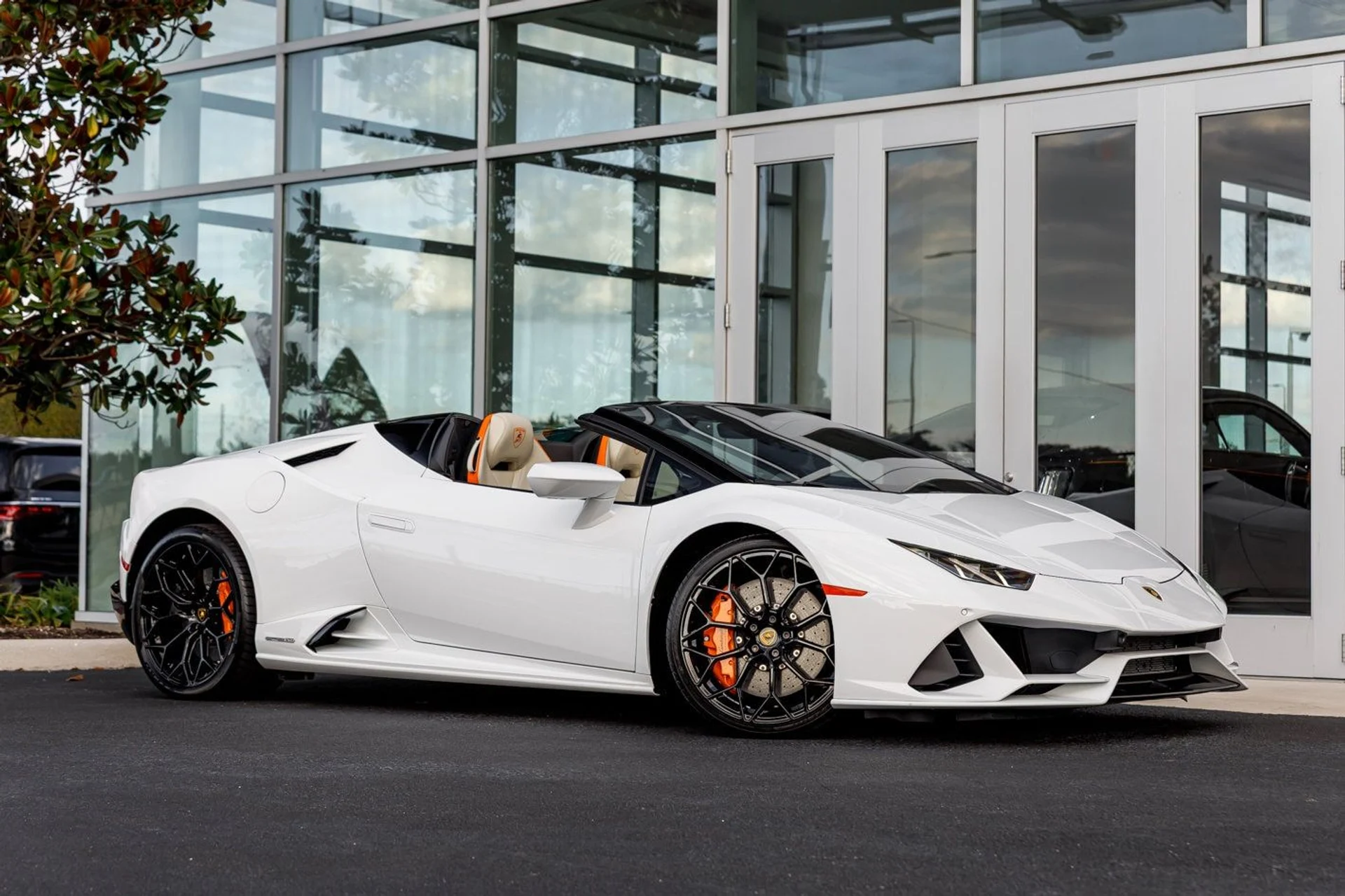 mph002_1848759610_e9b874a90cc10785f0035c3482176c2dx_6af430fa19