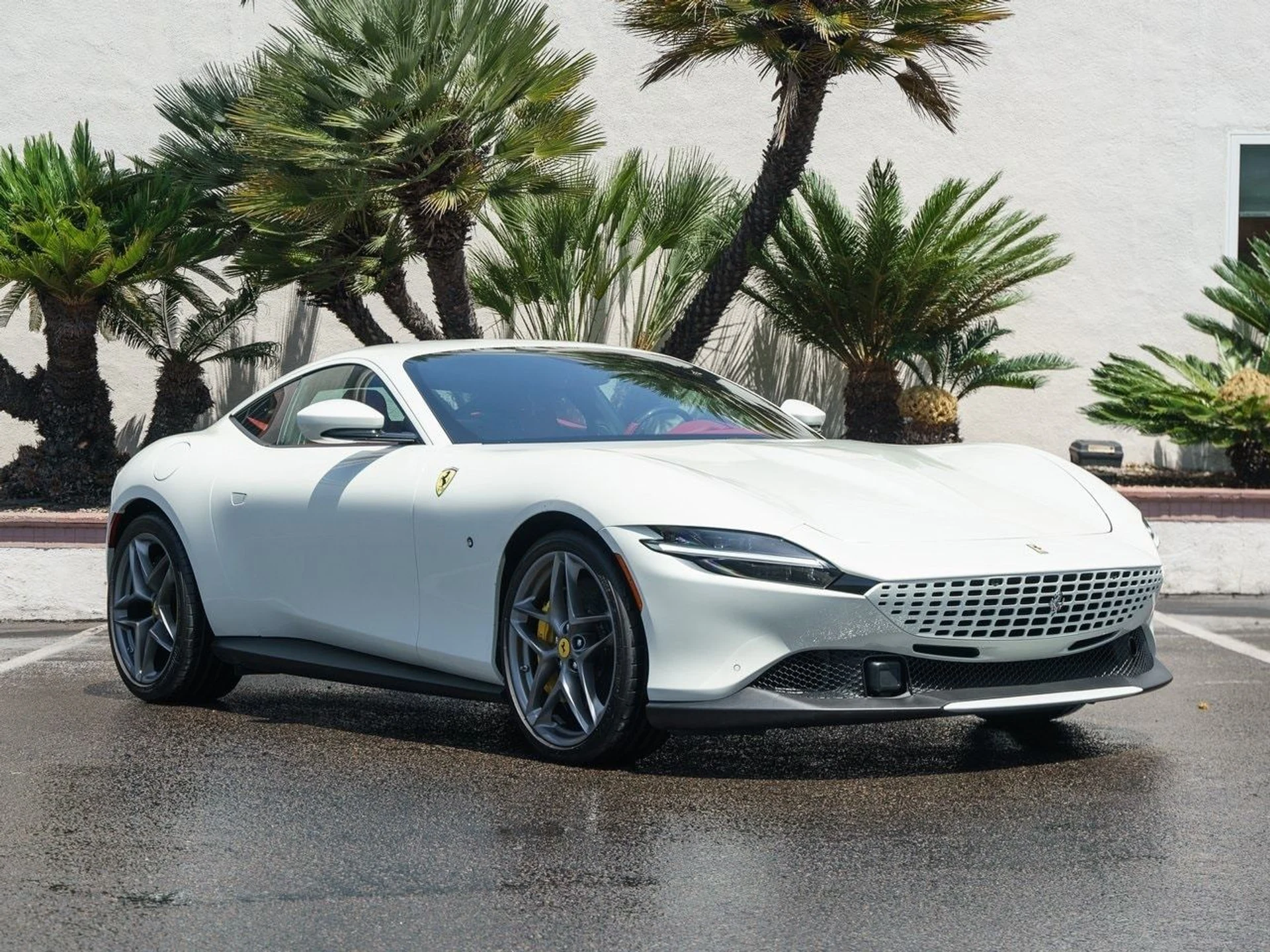 mph002_1902558389_a89e4ca69f1573029dc4be919406a009x_ee825bec10