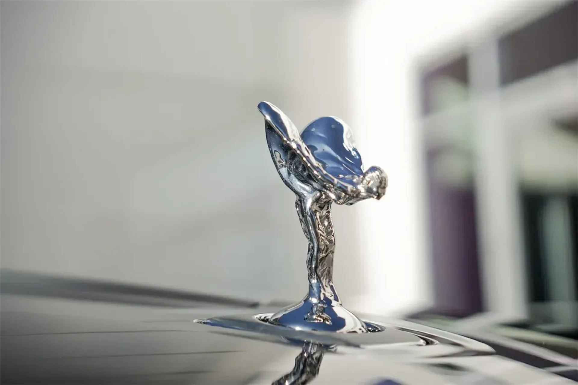 mph002_2131371045_e1abf2ff80d64a628d0847bfa2342474_04baaaa706