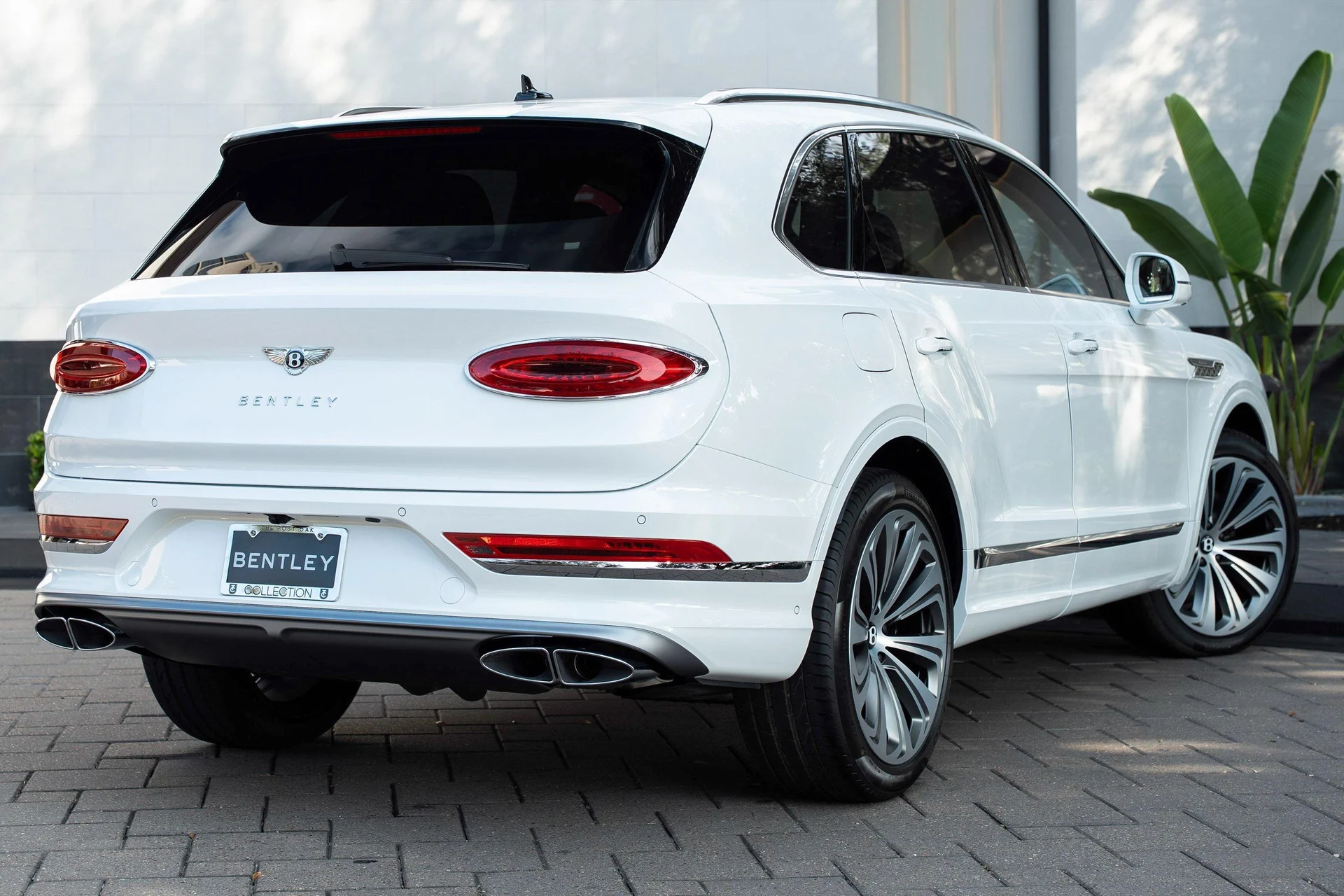 mph002_2270600125_462758411_6954bf6a4e73cd9f103f4ec2_1b8d118ef3