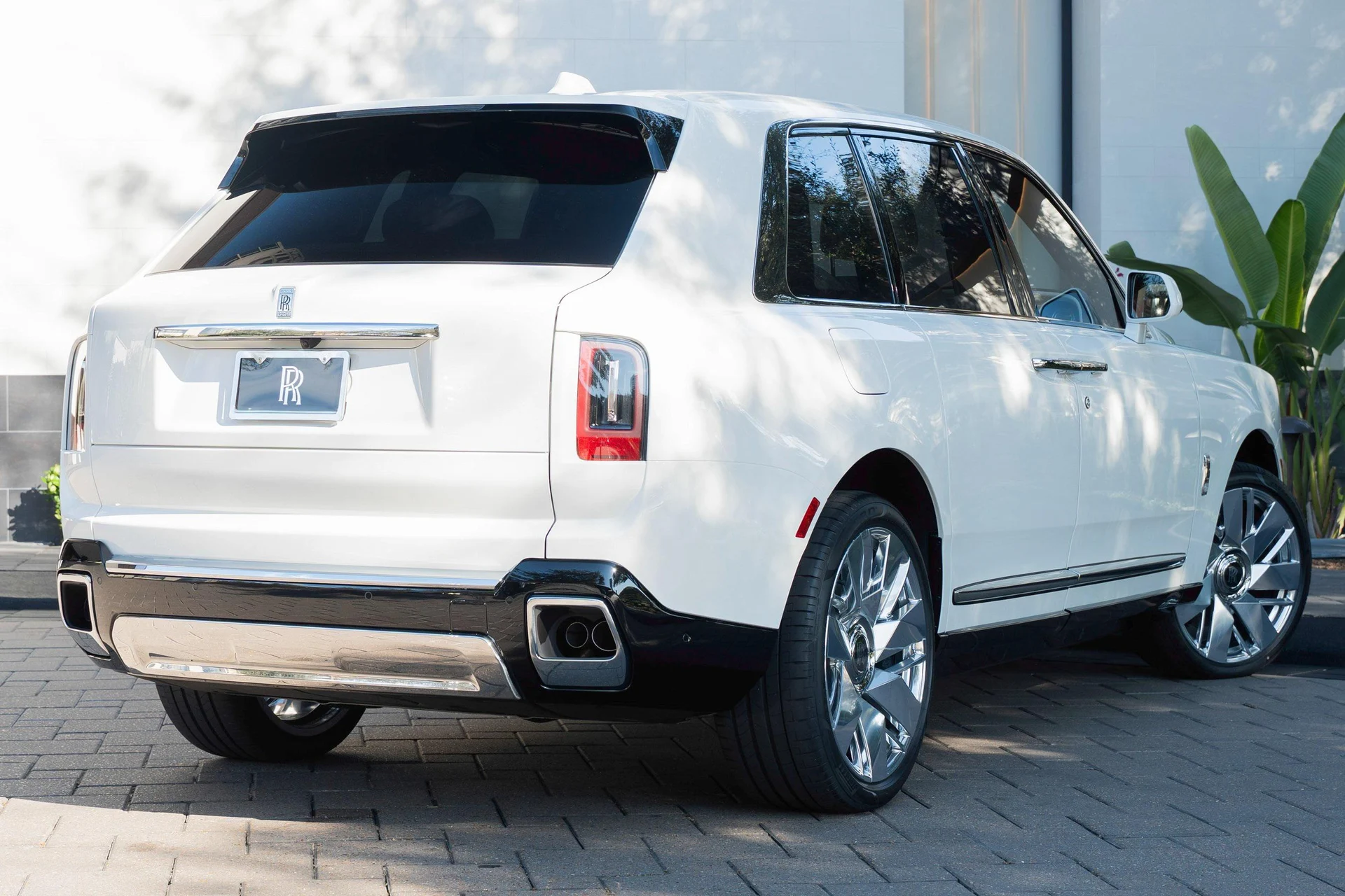 mph002_2299225406_476162068_695cc5bf8f3ee920bf5188b7_1f59b1a5d6