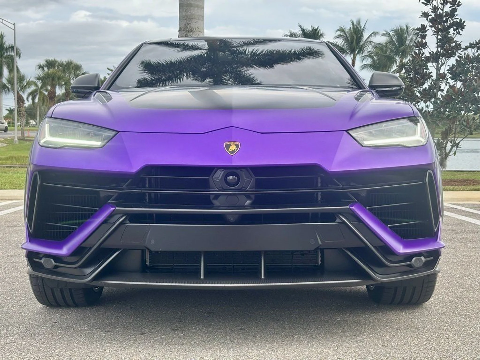 mph002_2658990256_8eb04e21000aa90c71630ba494a41192_f64d0a8d8b