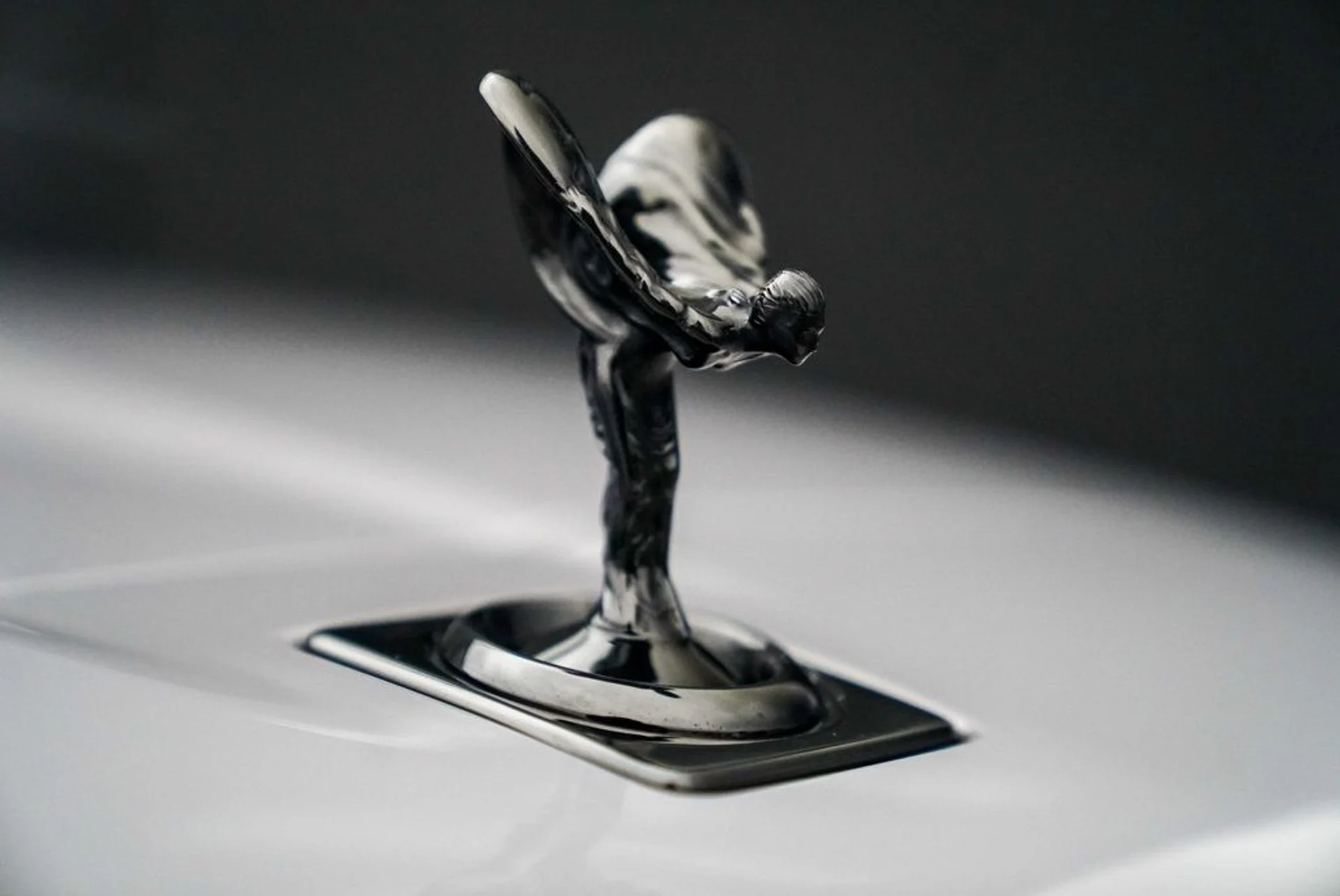 mph002_2855179398_5u0lup6xj6a2xndisk9muxqyjvyy_a25a515240