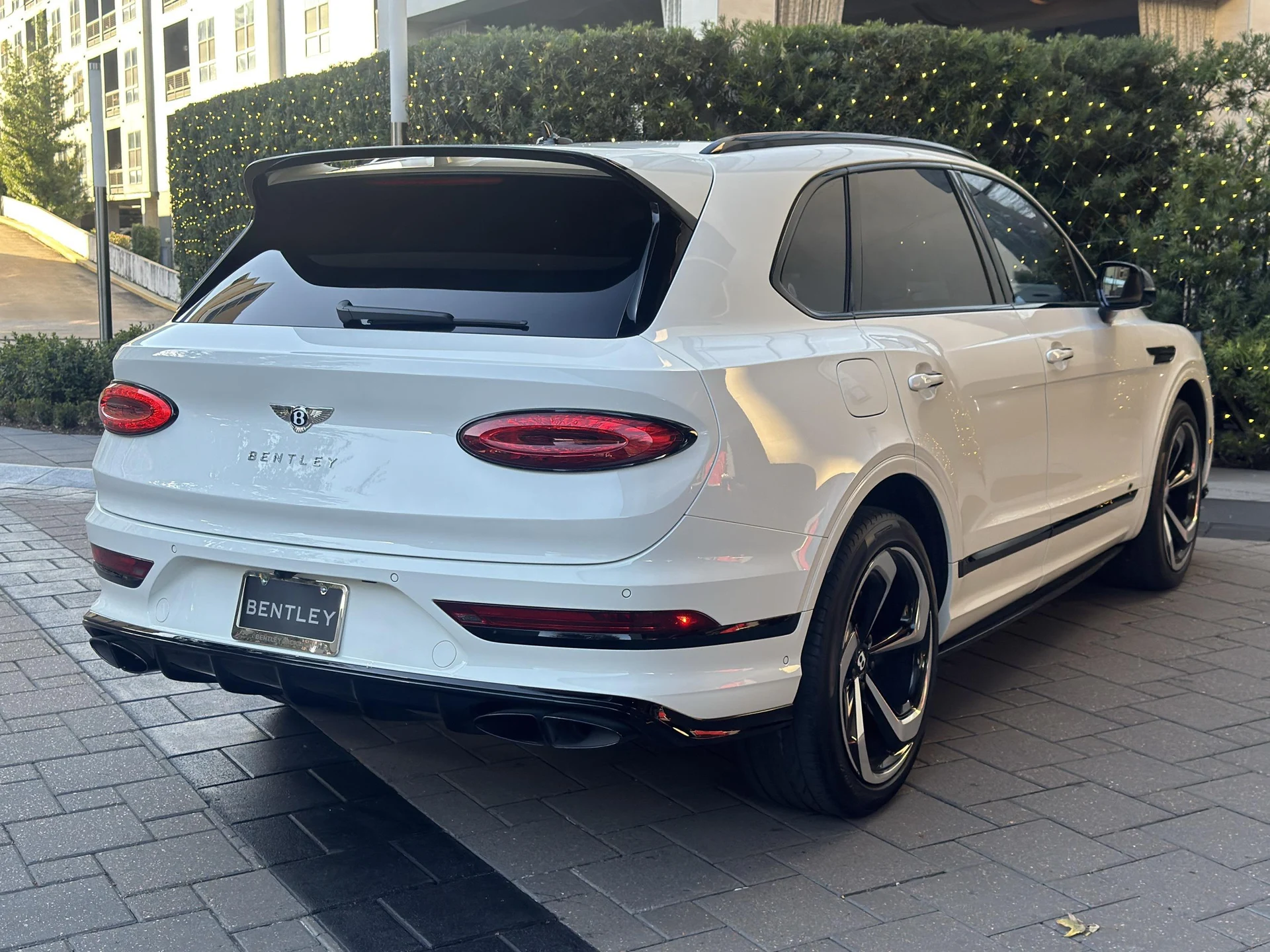 mph002_2967924534_480885681_693c5103b117e32501ac05b4_e47b1ff3df