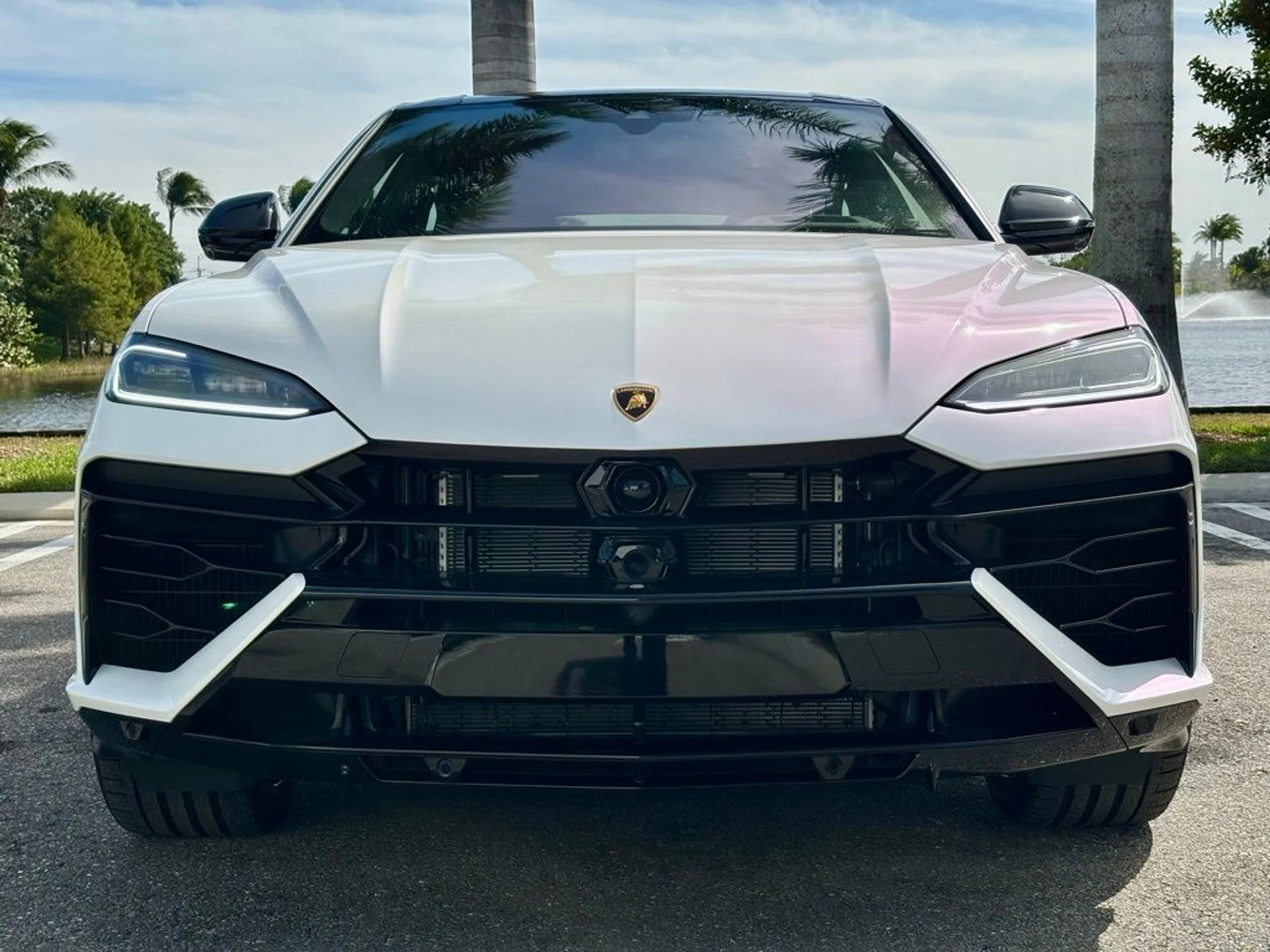 mph002_3049886149_c385110c89ad16803e9d3d7d205174ab_2c7eab1ec0