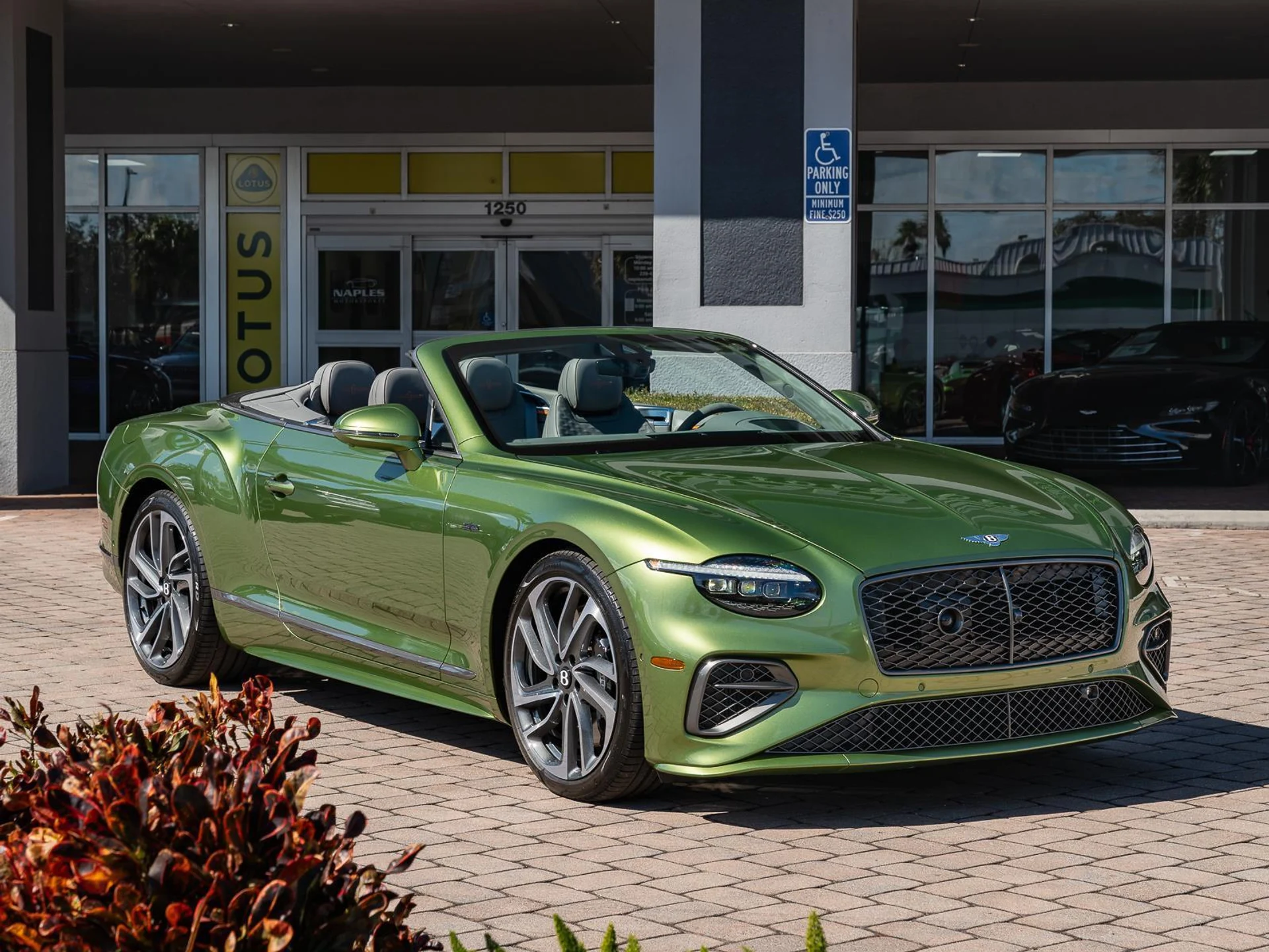 mph002_3190900888_Used_2025_Bentley_Continental_GT_Speed_1770806121_96257f7094