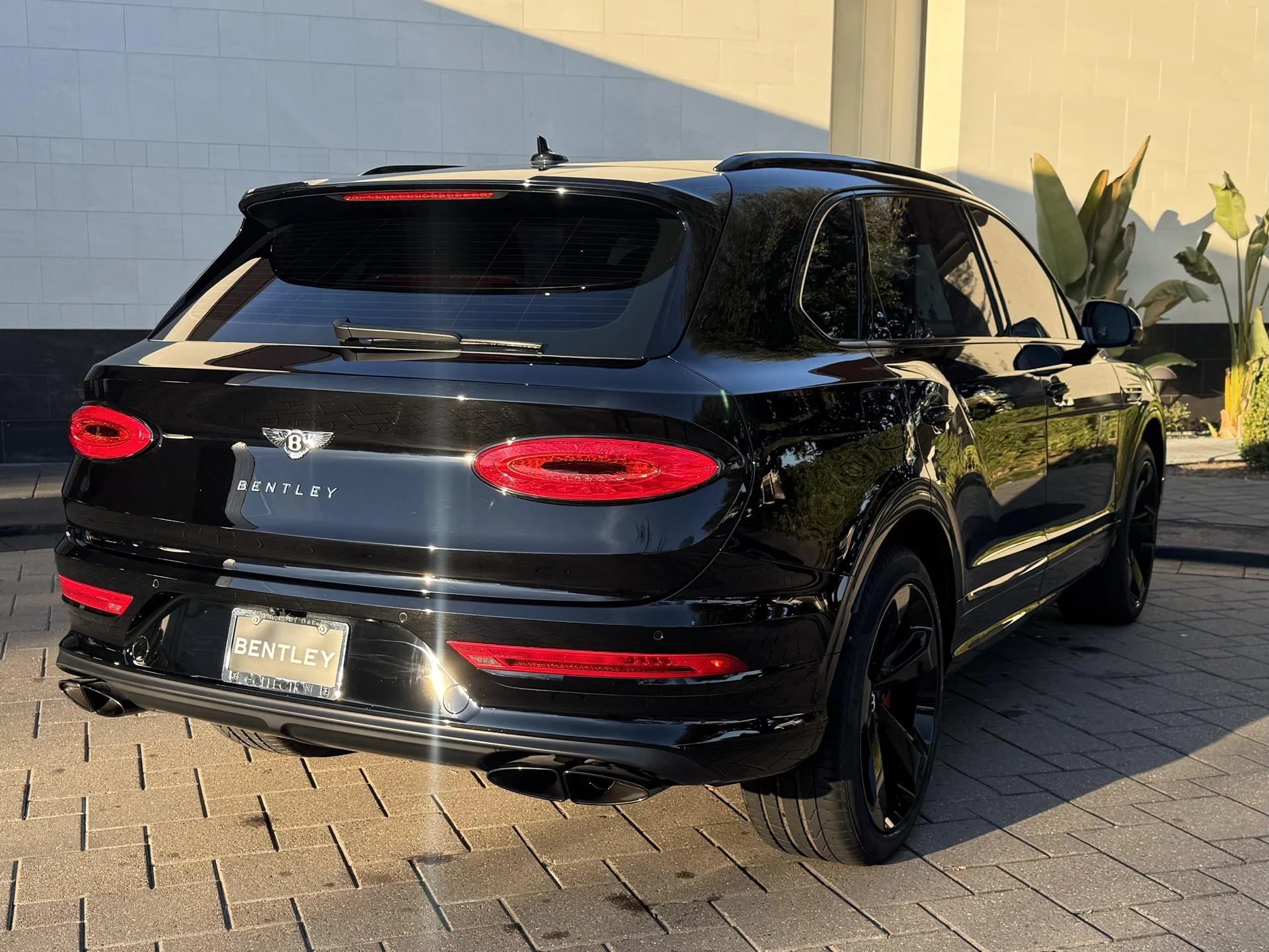 mph002_3224741403_492202244_697ced02f27774857f820a7a_771fcf4622