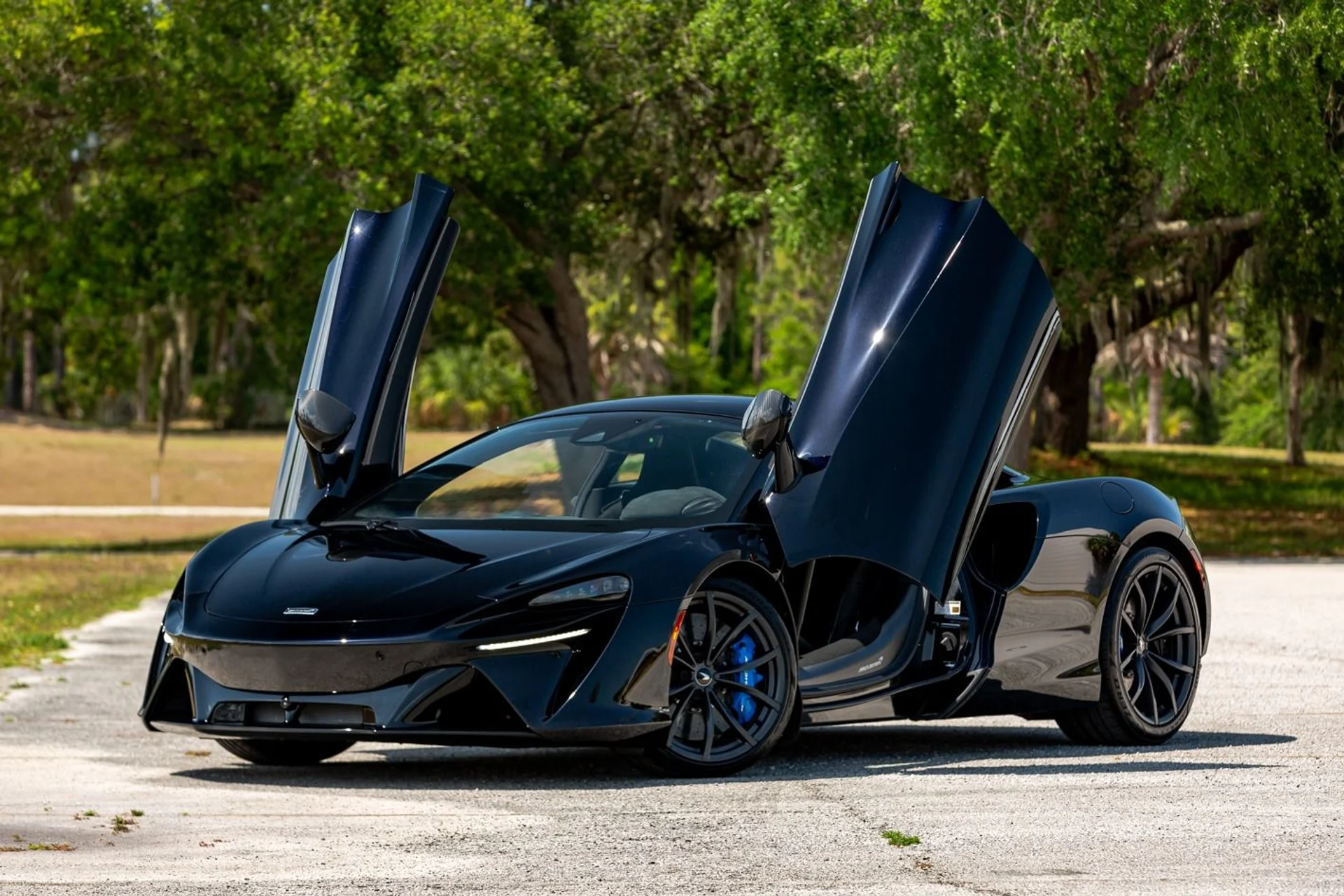 mph002_3286405851_396_p3_l_ebc6bf7a47