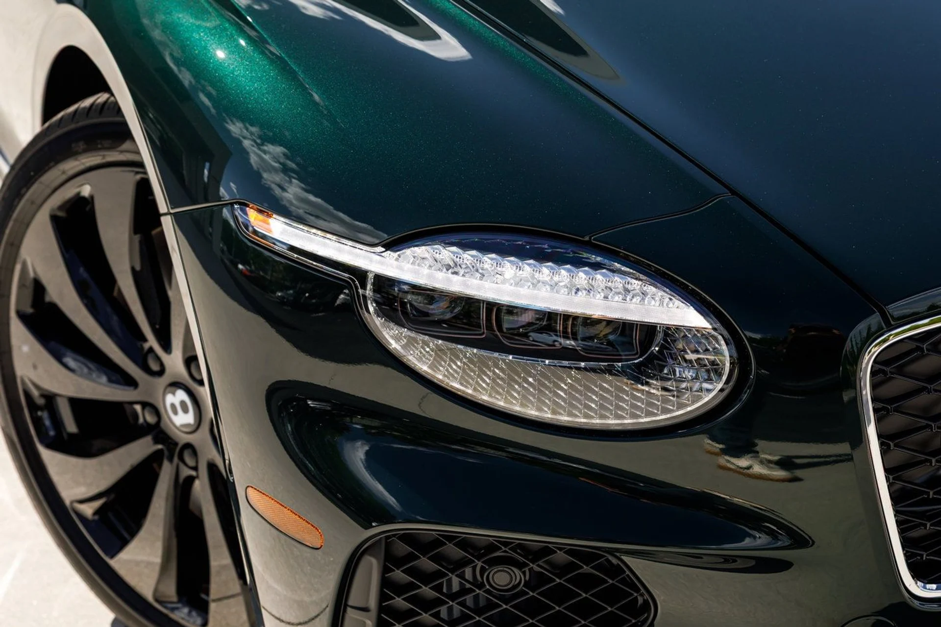 mph002_3307917546_551579fbc183f768f0c7c4184a6adc71x_6496a07892