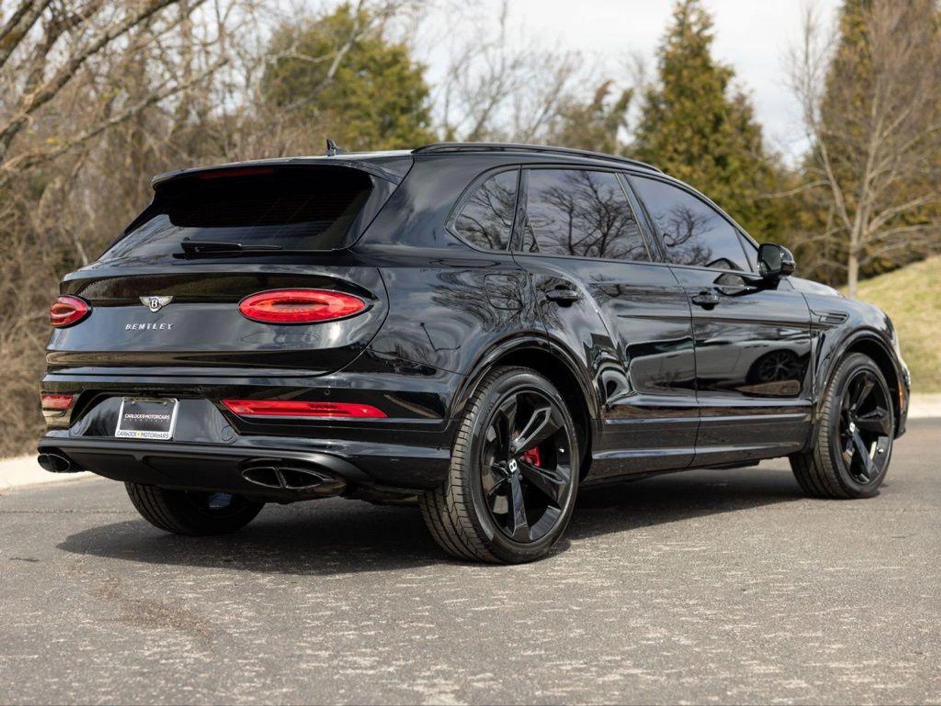 mph002_3316945767_497104613_69a1b7211e5607789028c3b4_e6c4d42a9e