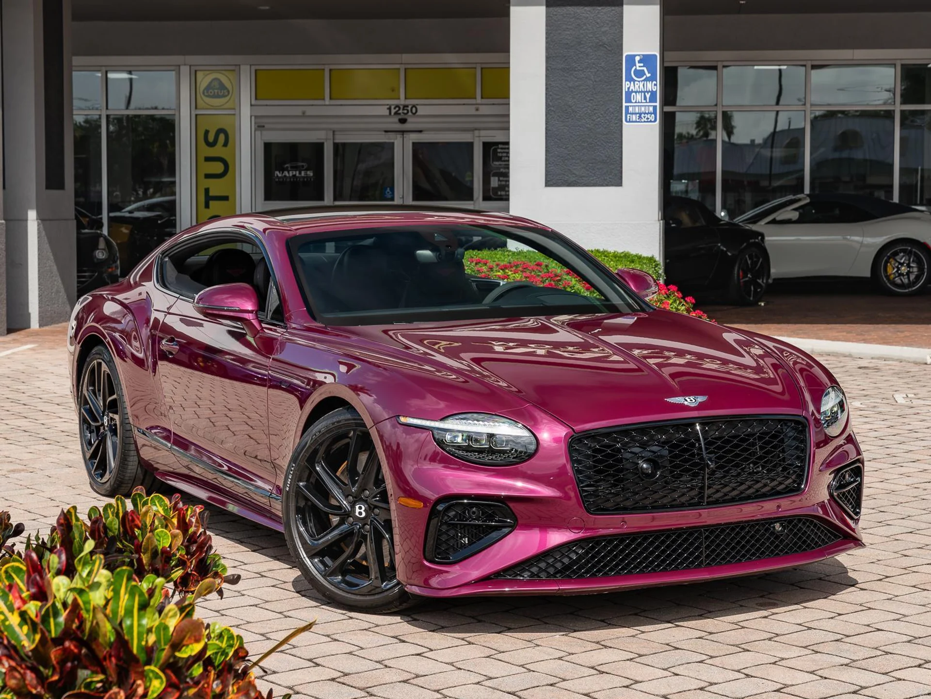mph002_3475413352_Used_2025_Bentley_Continental_GT_Speed_1779912135_6f9d0856de