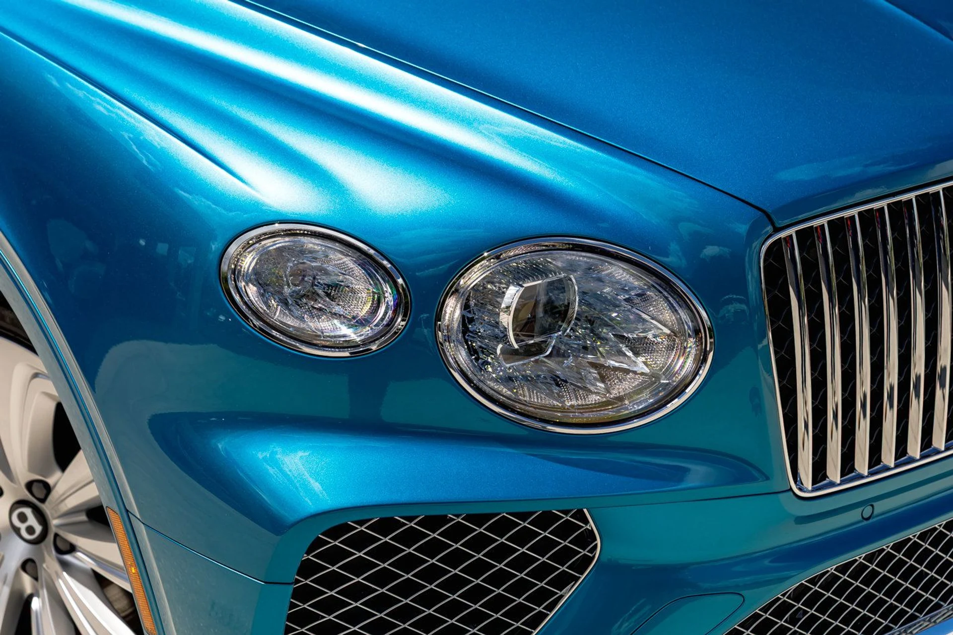 mph002_3517973858_f50ab919c5210ed098fb9cea59756fdax_619d25dd9e