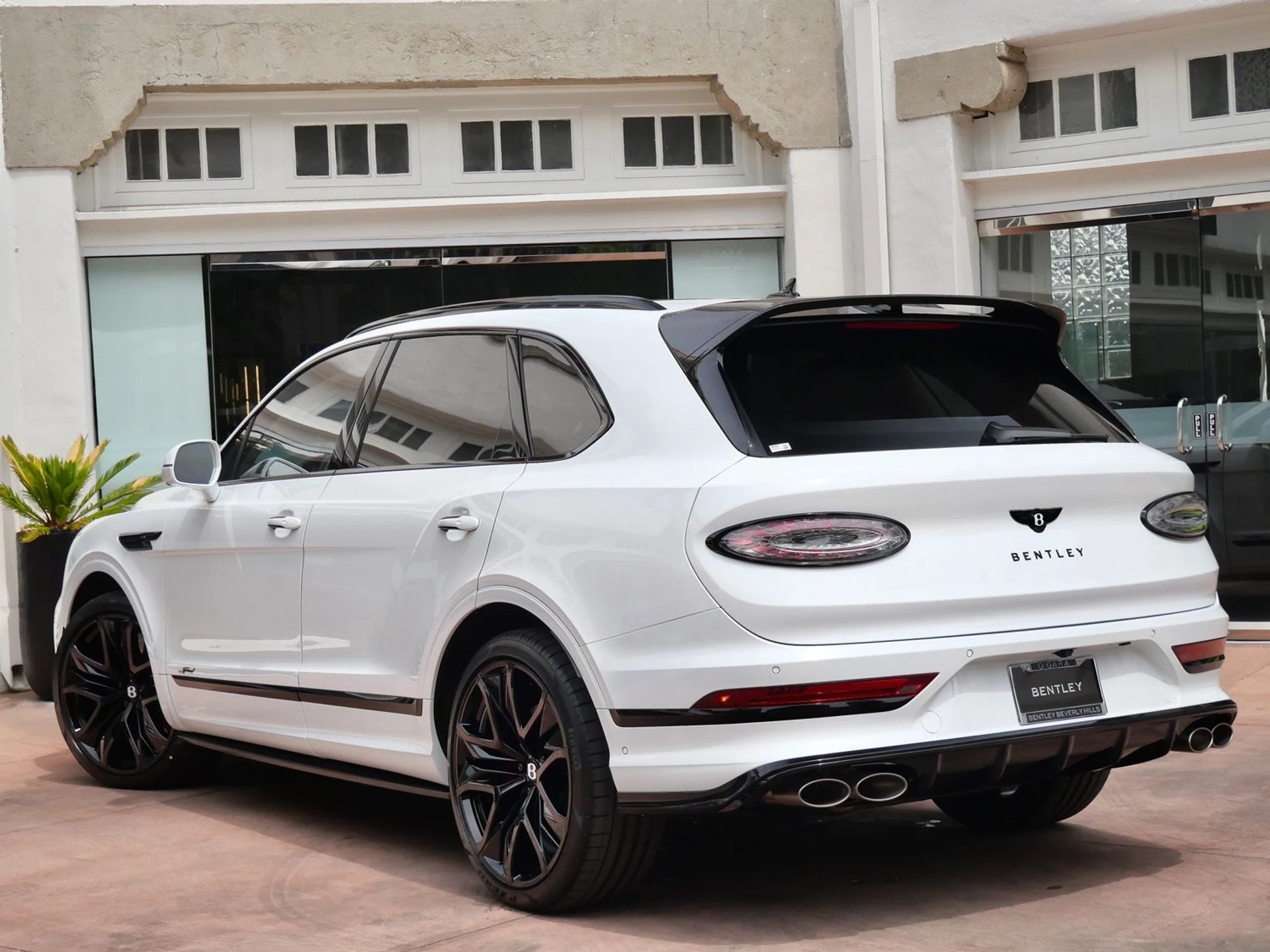 mph002_3537966601_786660172c45867edd2e1d616ae3faa4x_a2e44e92b5