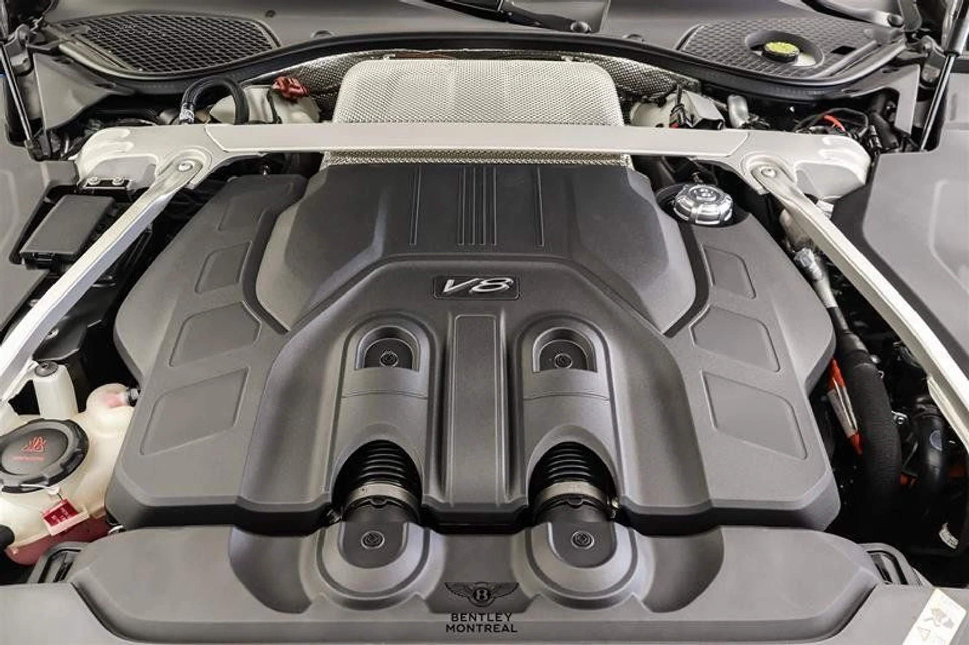 mph002_3579659269_38026592_02561_11424542_1616810889_5915197fa2