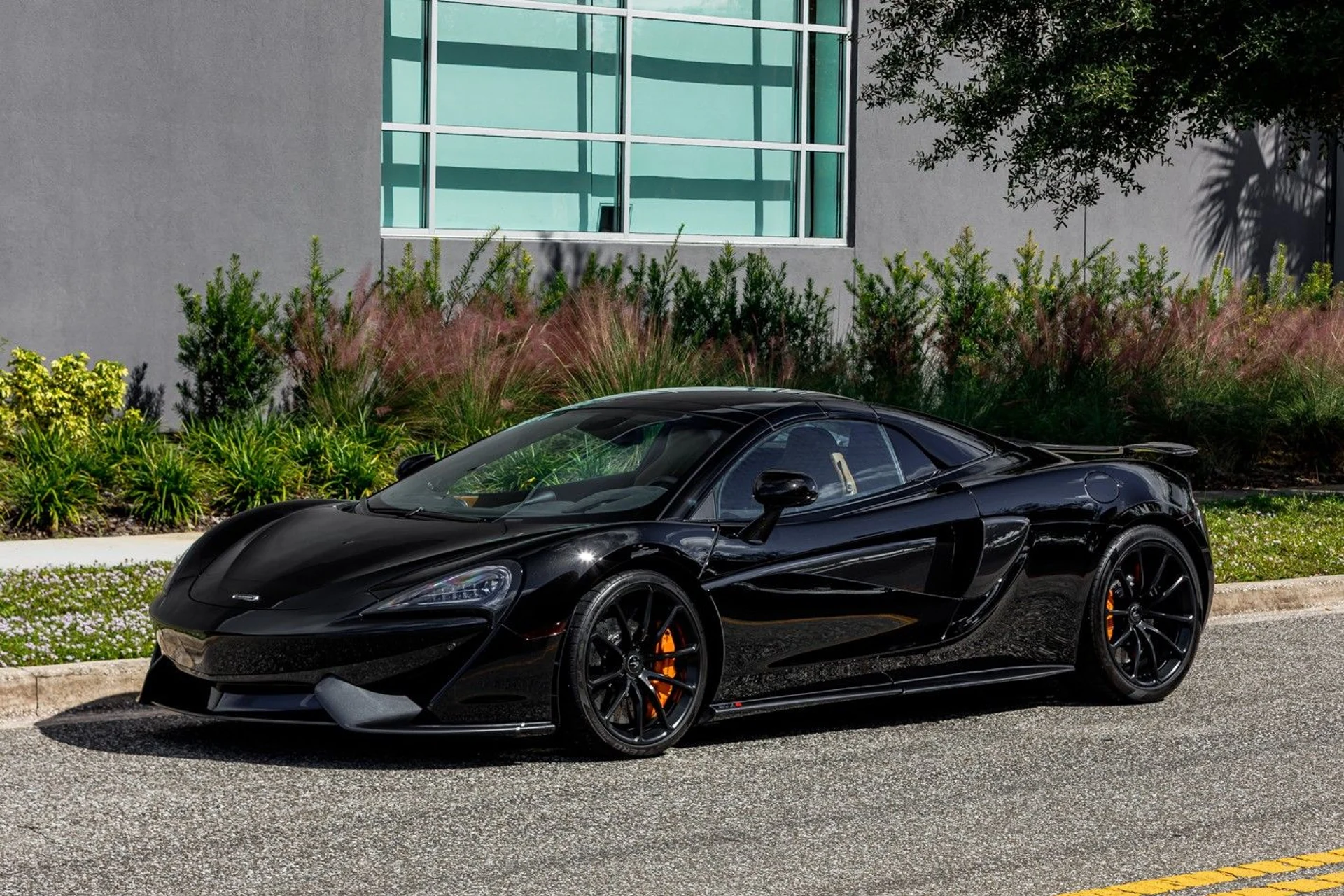 mph002_3591404456_608_p3_l_03835e856e