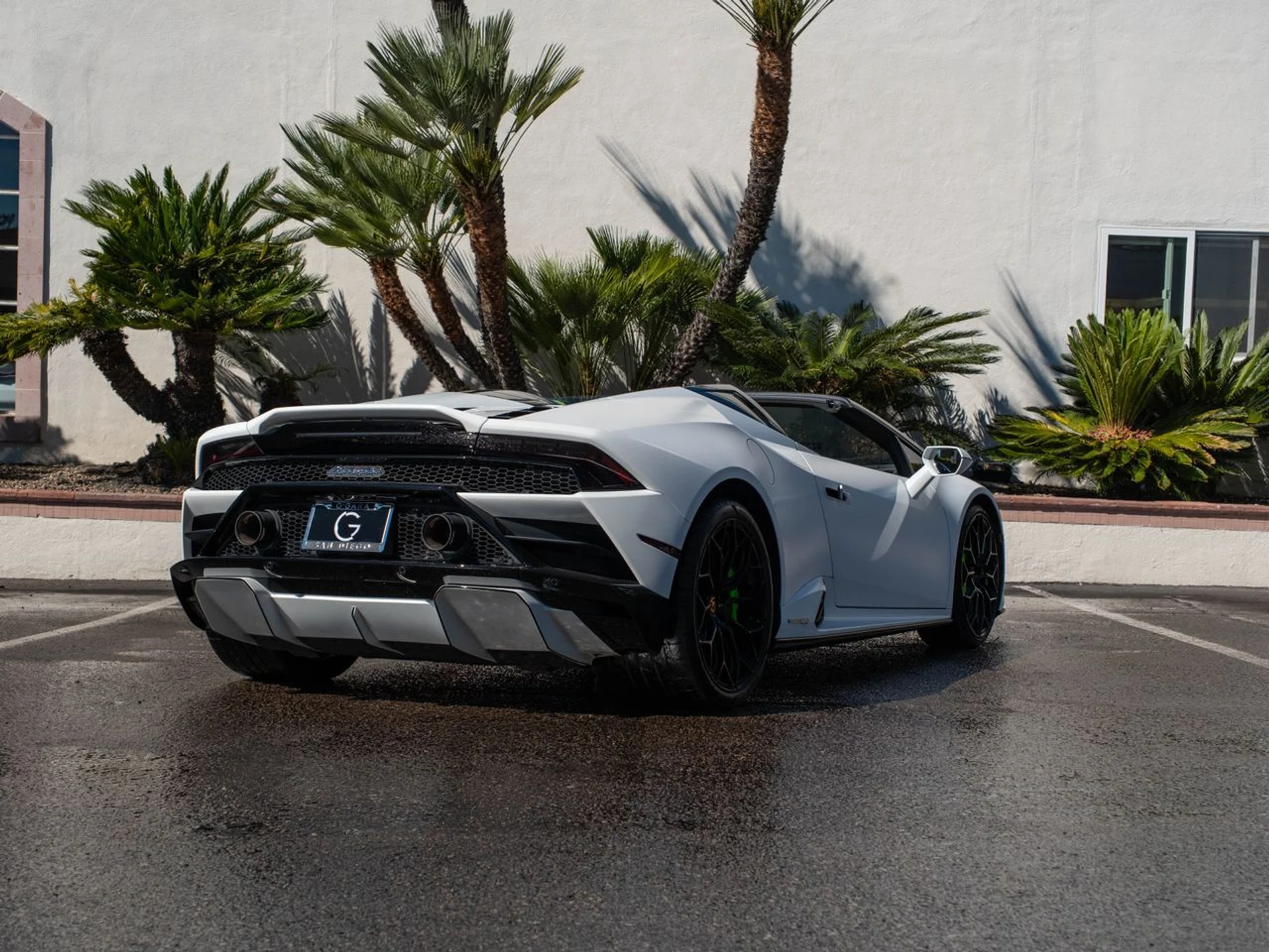 mph002_3772215041_890c0a05a2a4b8c8d22016aa846b499ex_1728af2bd7