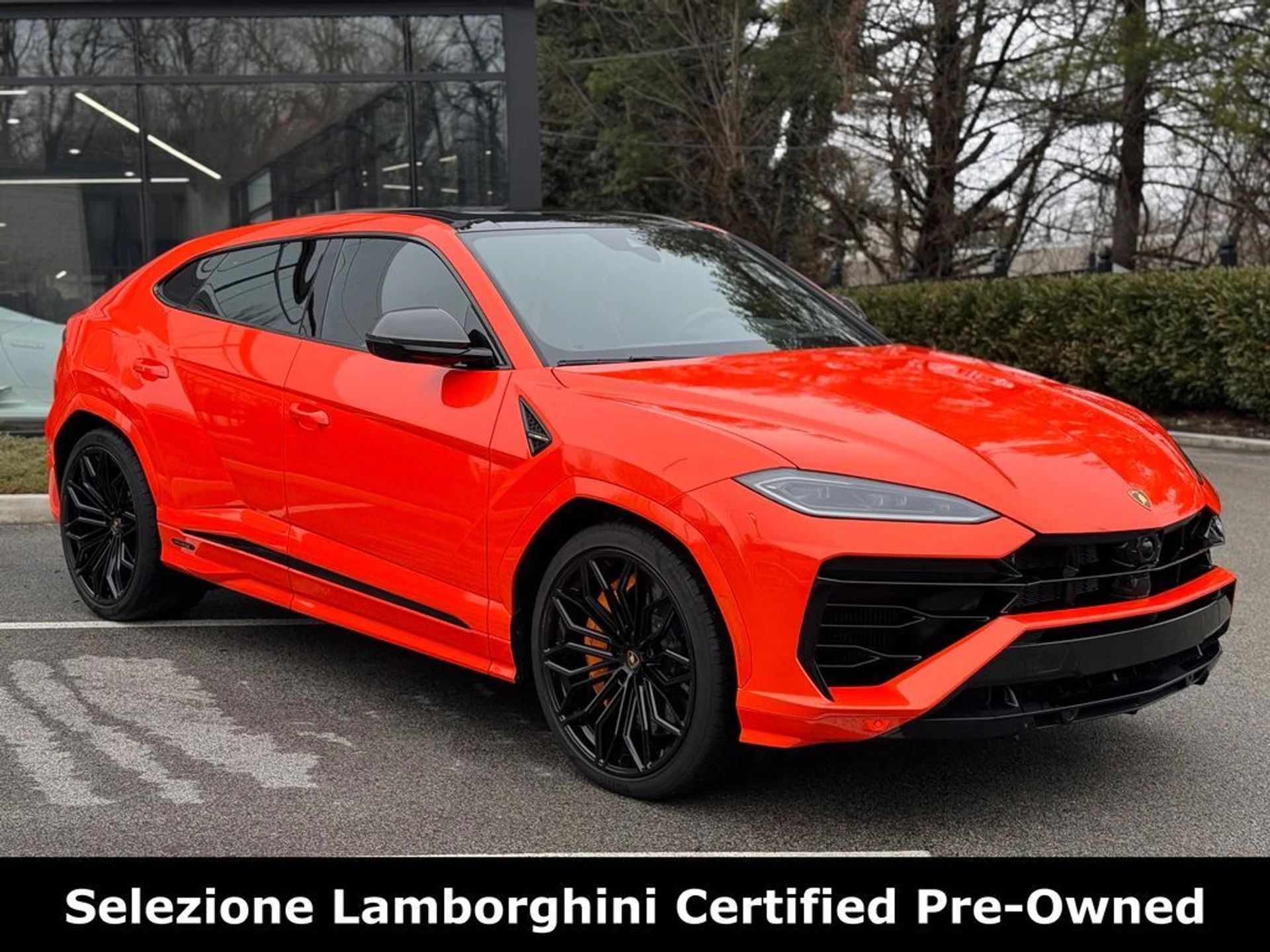 mph002_3788124085_1125799e04ddfbc4f57fb2143e43b2cex_6cba15079d