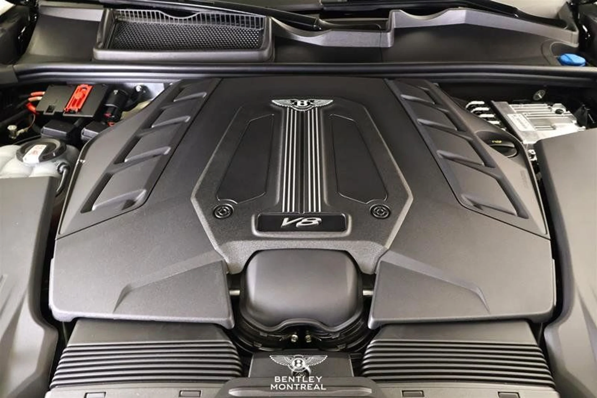 mph002_3943586595_37260651_00205_ljes4ji5_6dba190940