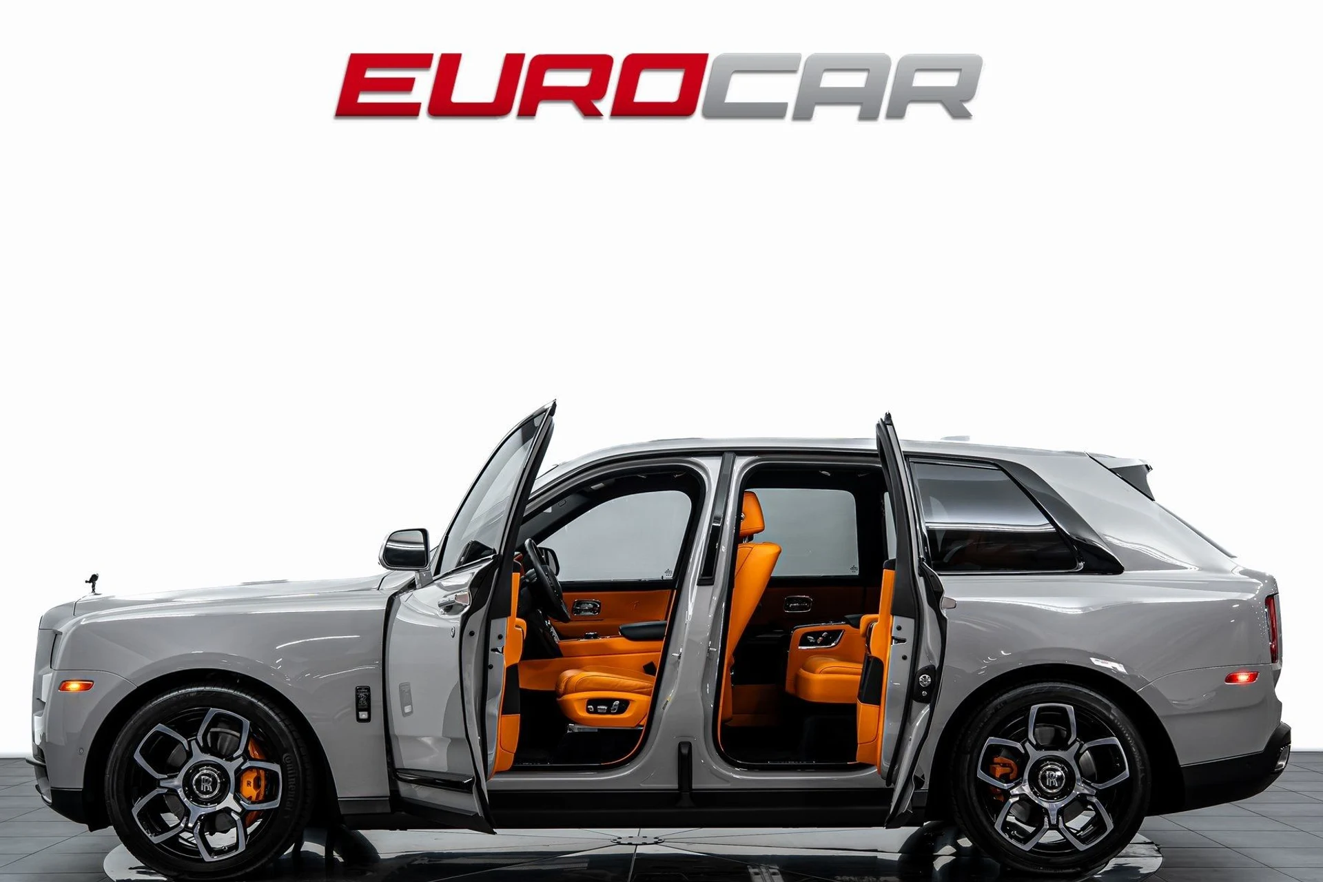 mph002_3961869980_image_3_d74b55294b