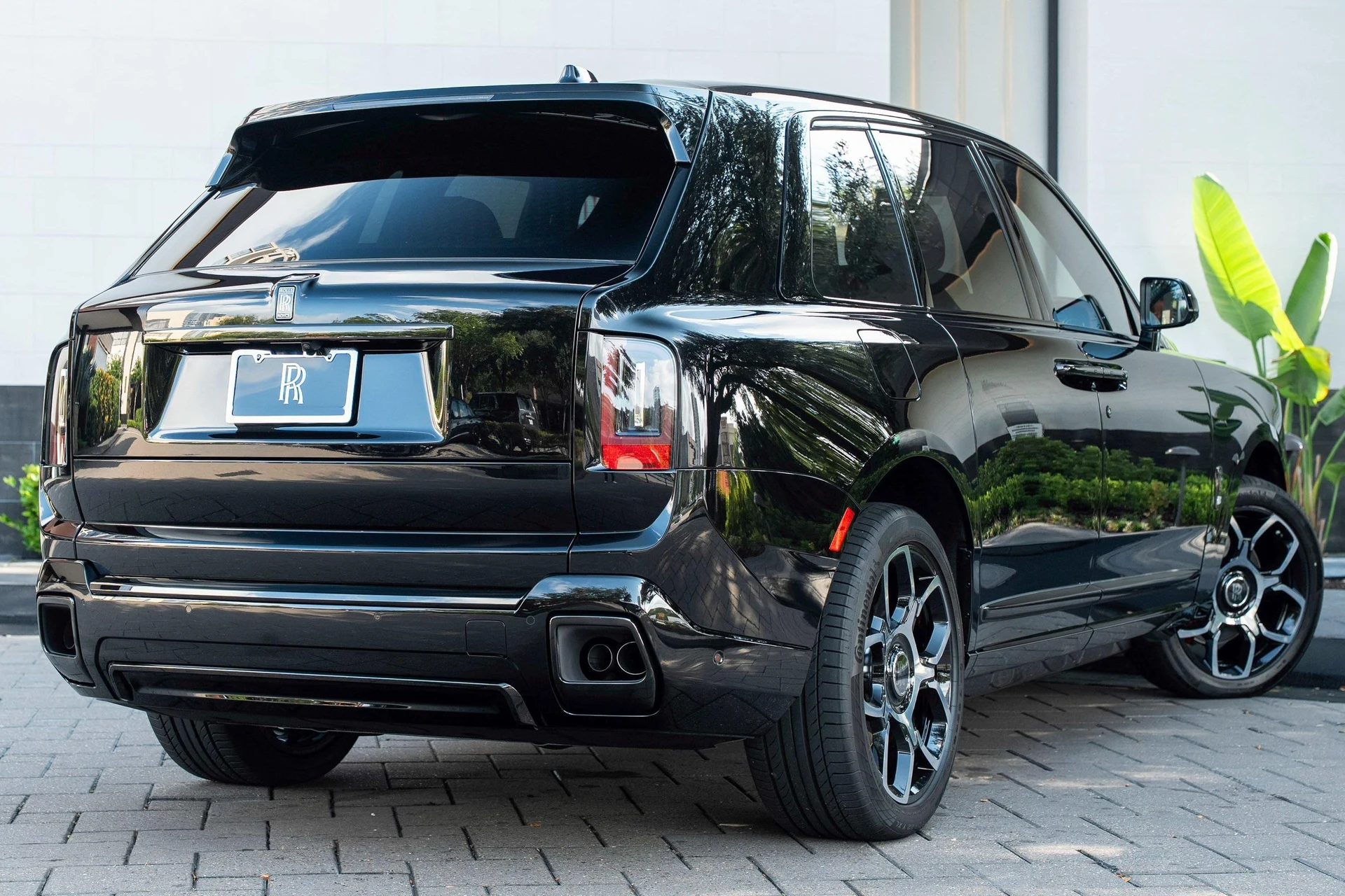 mph002_4083596499_444459225_695cbfd18f3ee920bf5186ad_8ce1c91dda