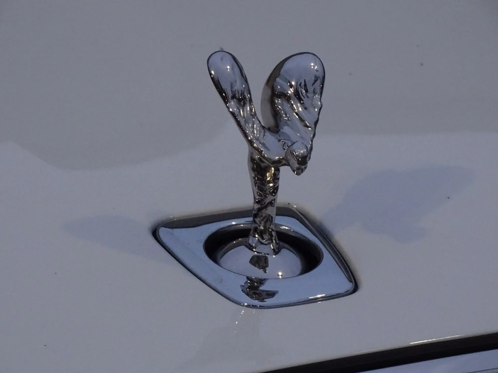 mph002_4155043340_3b41c954addd365139b19bc2f3e37b69x_eaa97a454d