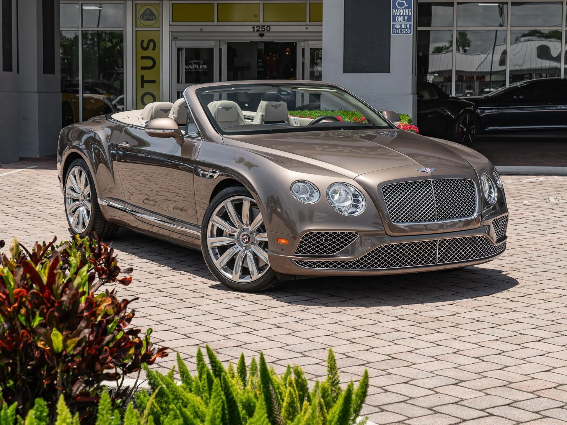 mph002_490440041_Used_2016_Bentley_Continental_GT_V8_1779807700_92b1a27648