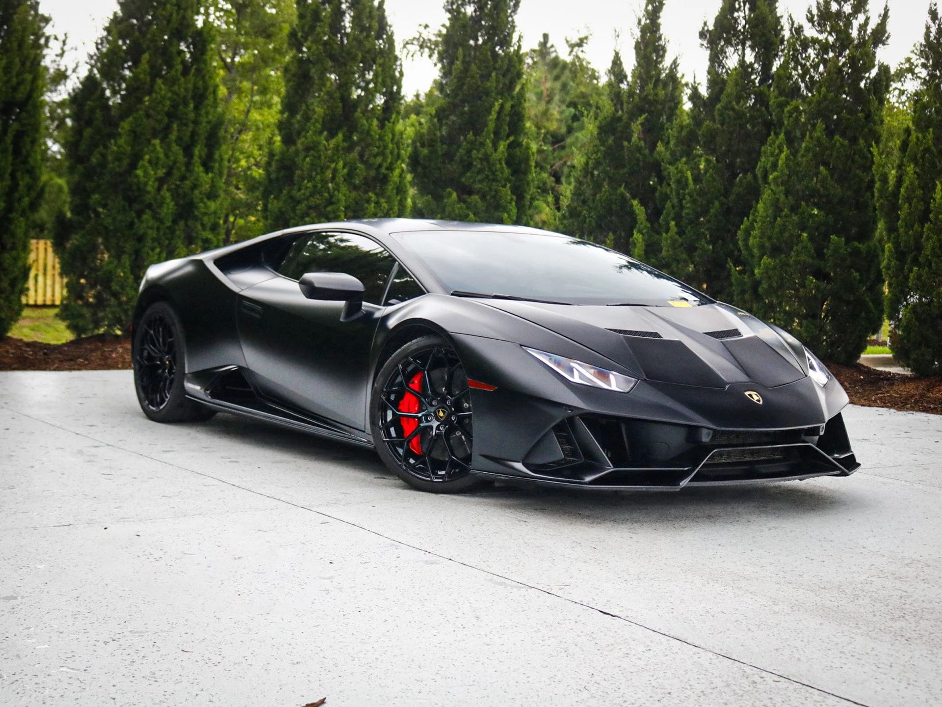 mph002_774266173_1030cc450b541fca22ad681cc7384787x_83c59e6922