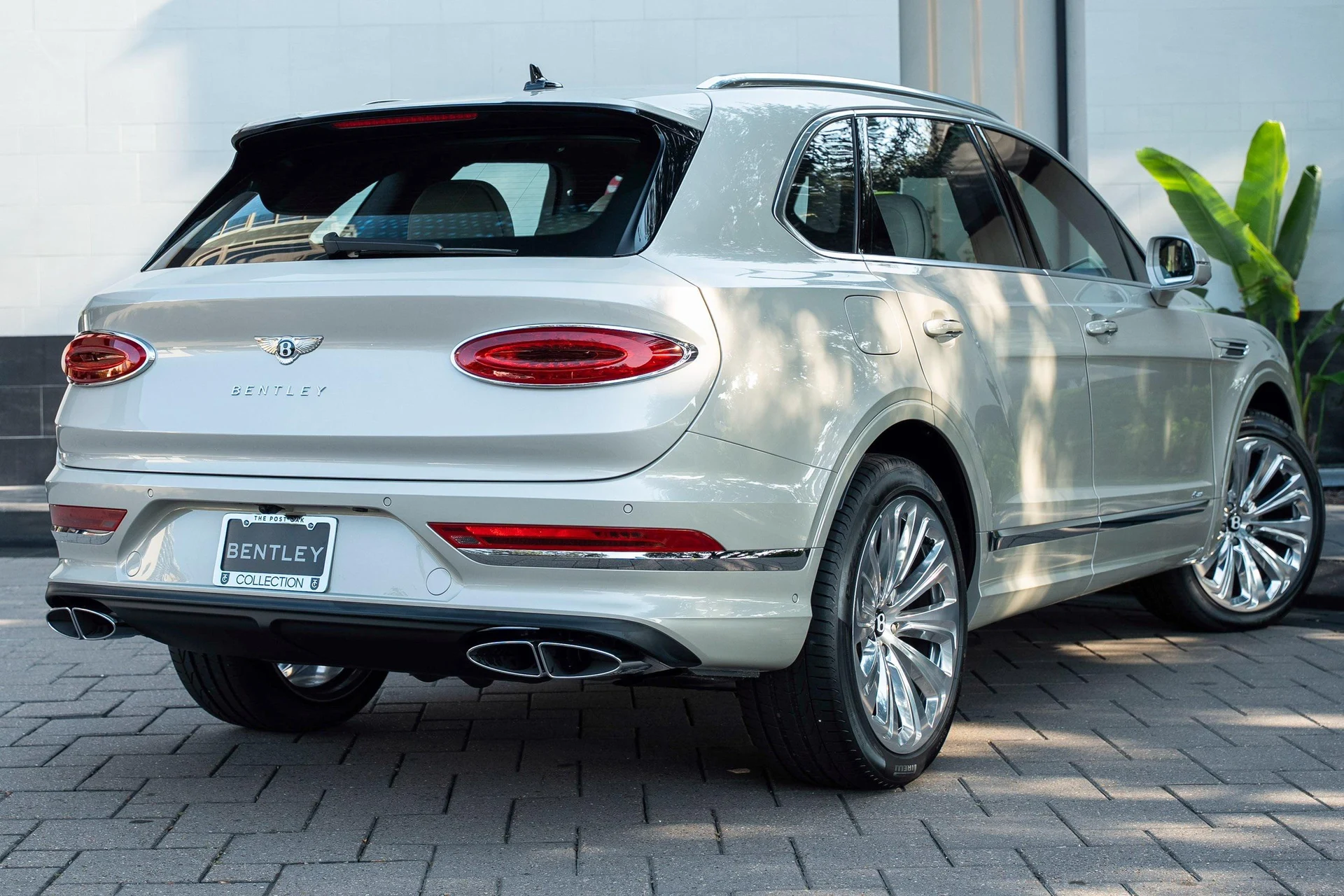 mph002_813298629_470962090_69063ca1ca1ae070f76ad6f4_6103137e48