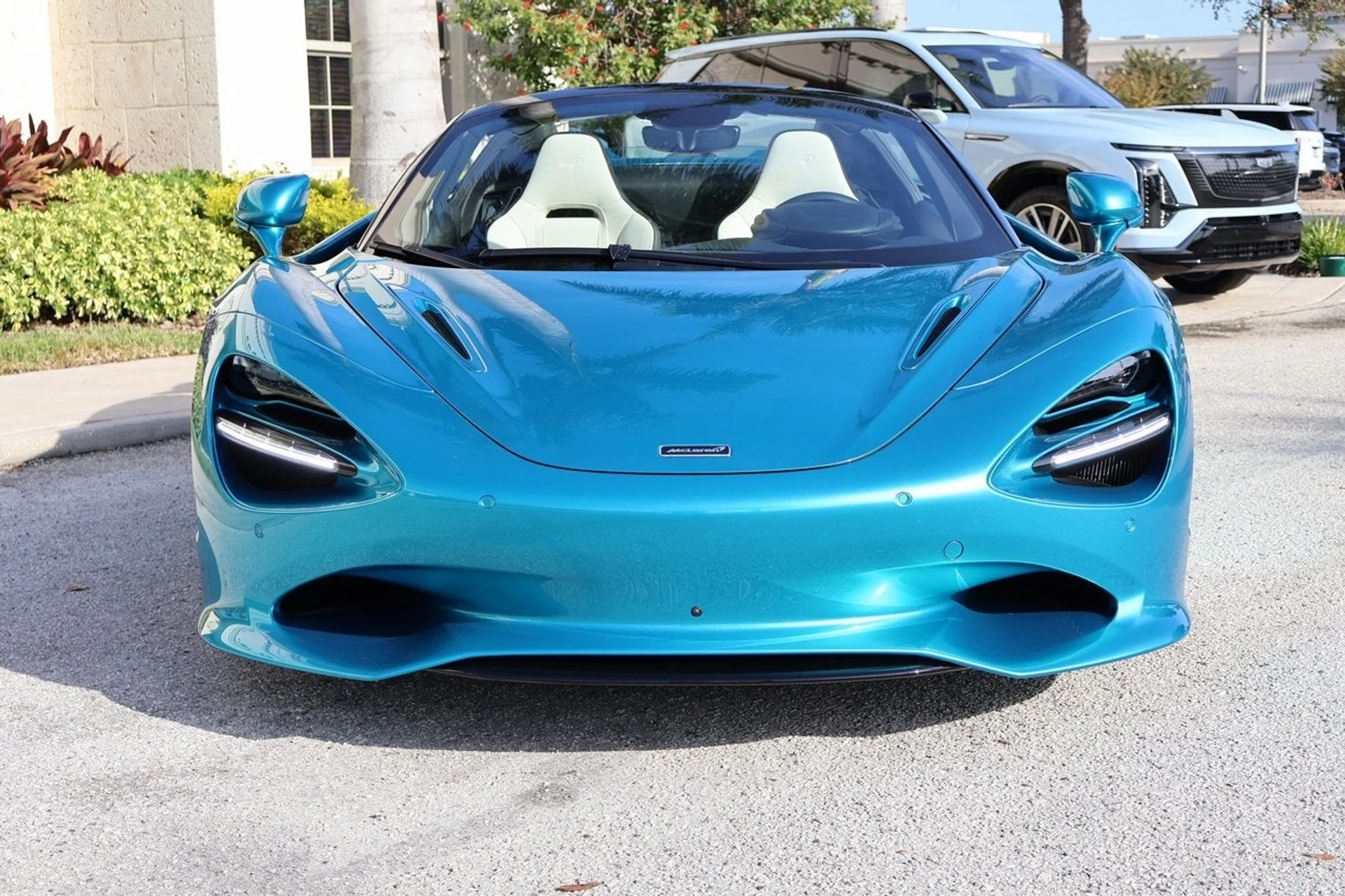 mph002_869523174_3_aa51c01f05