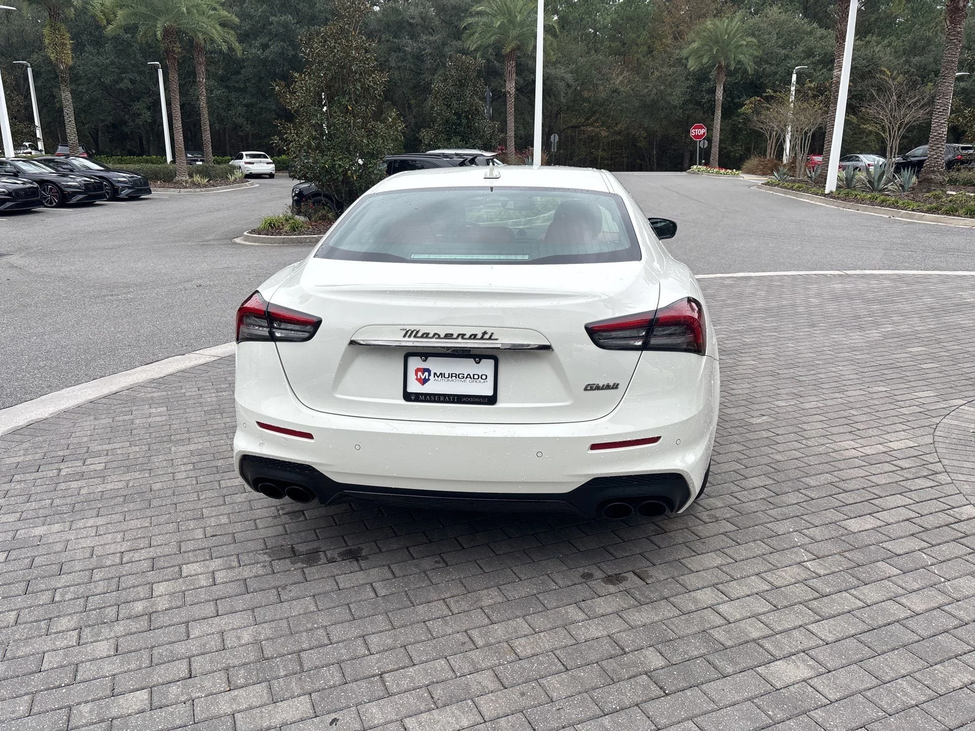 mph002_917950367_0d5ad2e58c424551bcbec746b1058082_732c2a37c1