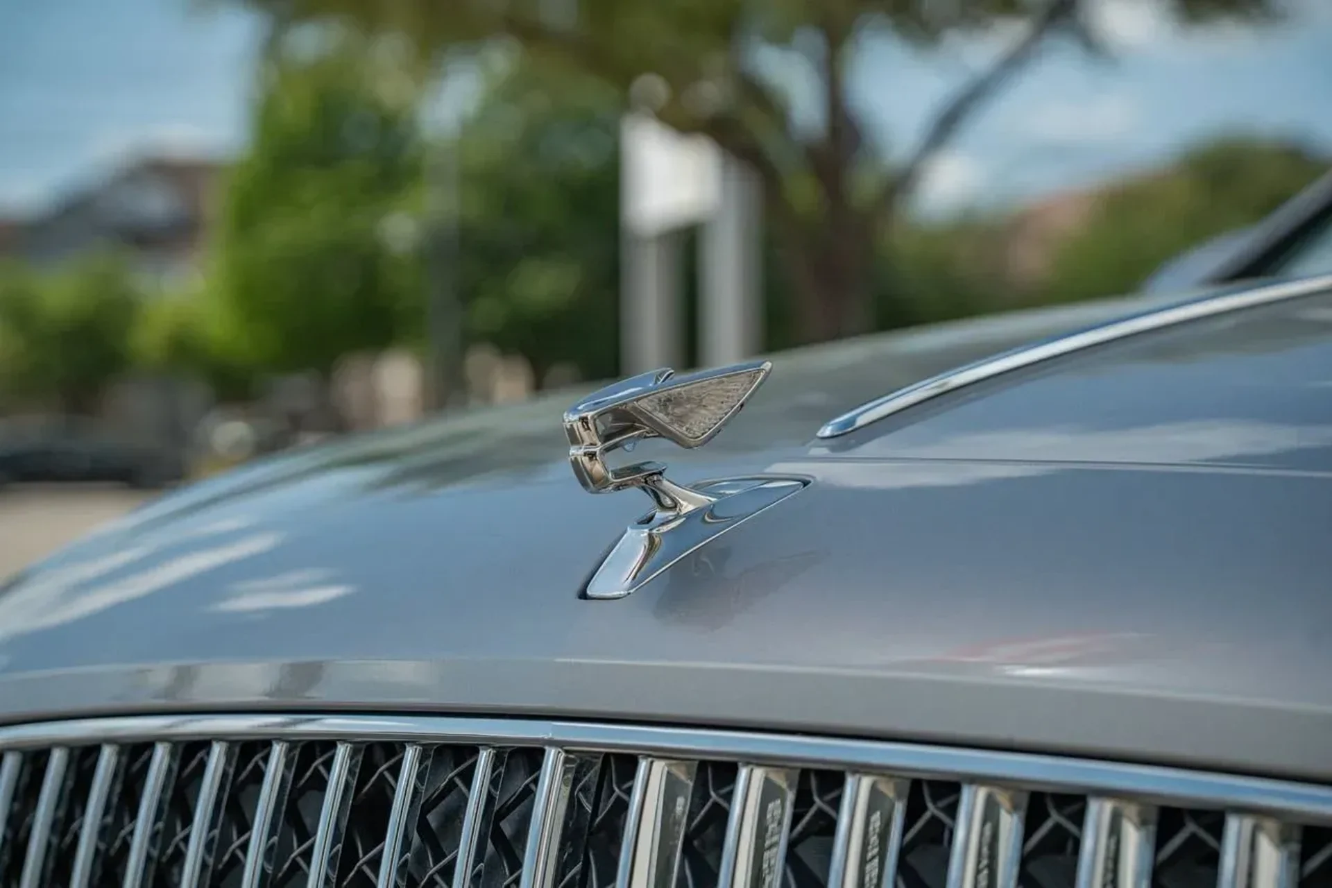 mph003_1134652528_f6c14eb9ef1c4df1896754b4ecb5c84e_d7b85426da