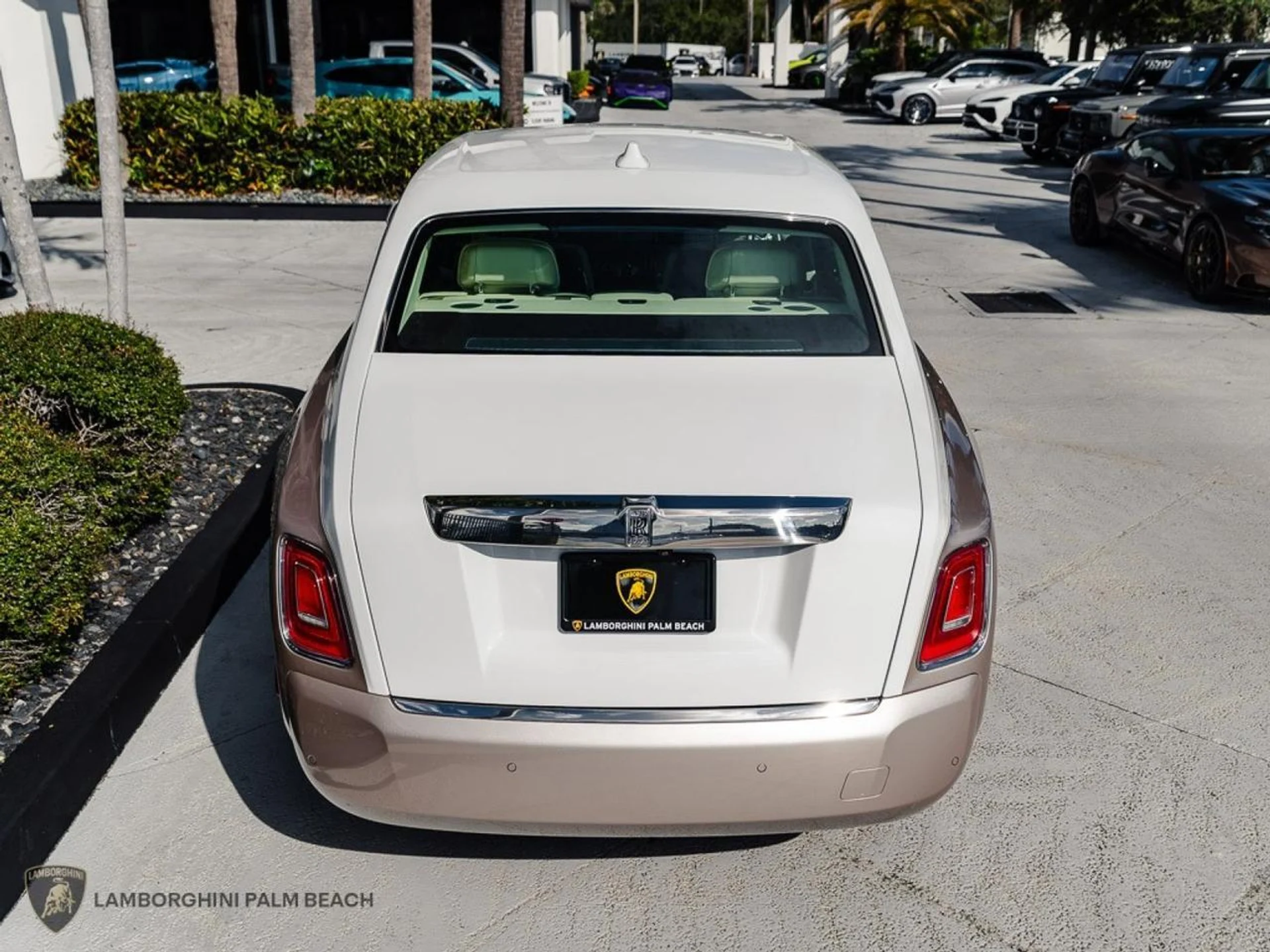 mph003_1156677069_fd74a6849eea316fafb1453b76a3d87e_b61b0c8c3b