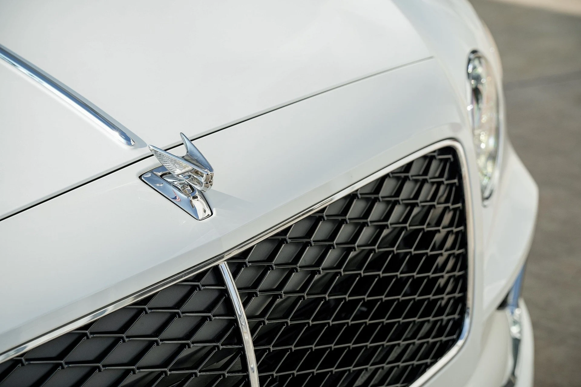mph003_1265845073_Hi_Tech_Luxury_Imports_LLC_SCBBP_6_ZG_7_TC_024549_image_3_7cbc92d05a