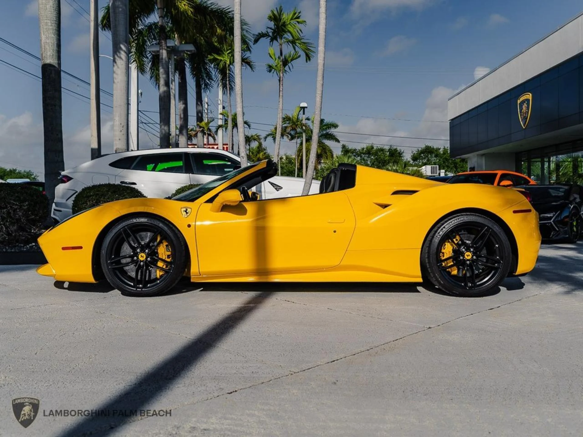 mph003_130802949_db4b9cef91d299f7b646bfd9d7c9346f_317fe189e6