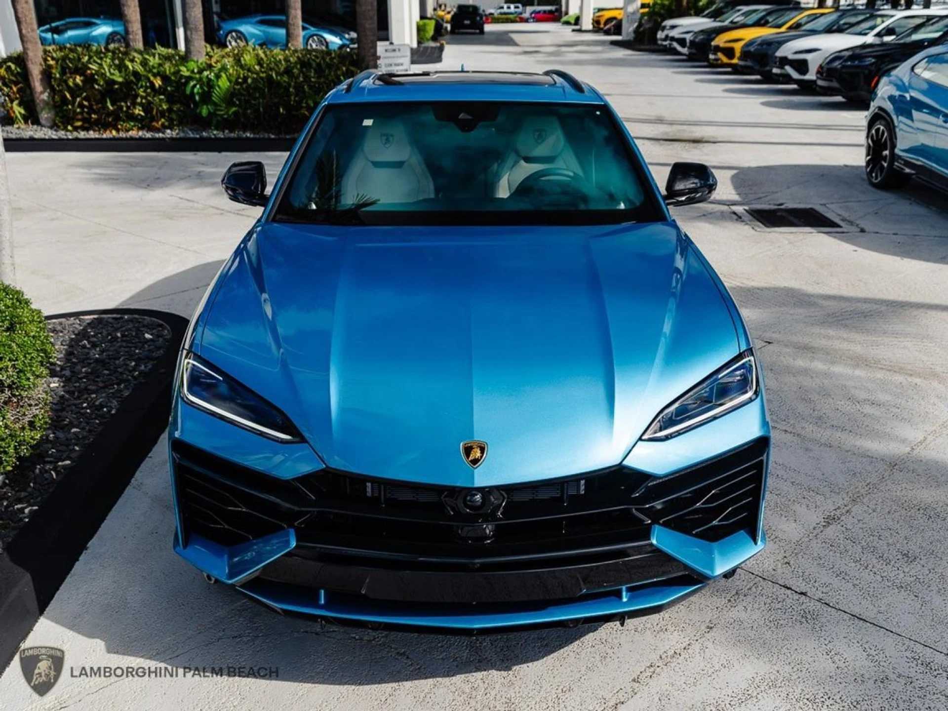 mph003_1484189123_bd38268fb58ec090a6c26e0cbc4dfc1b_e643dafb92